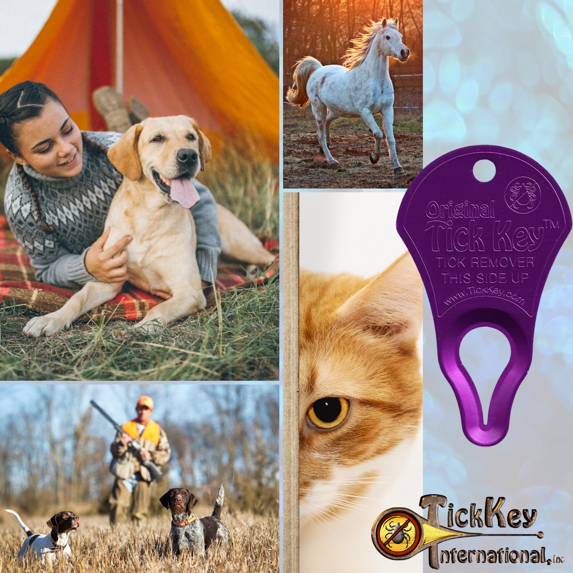 The Original Tick Key - Tick Detaching Device - Portable, Safe And Highly Effective Tick Detaching Tool (Purple)