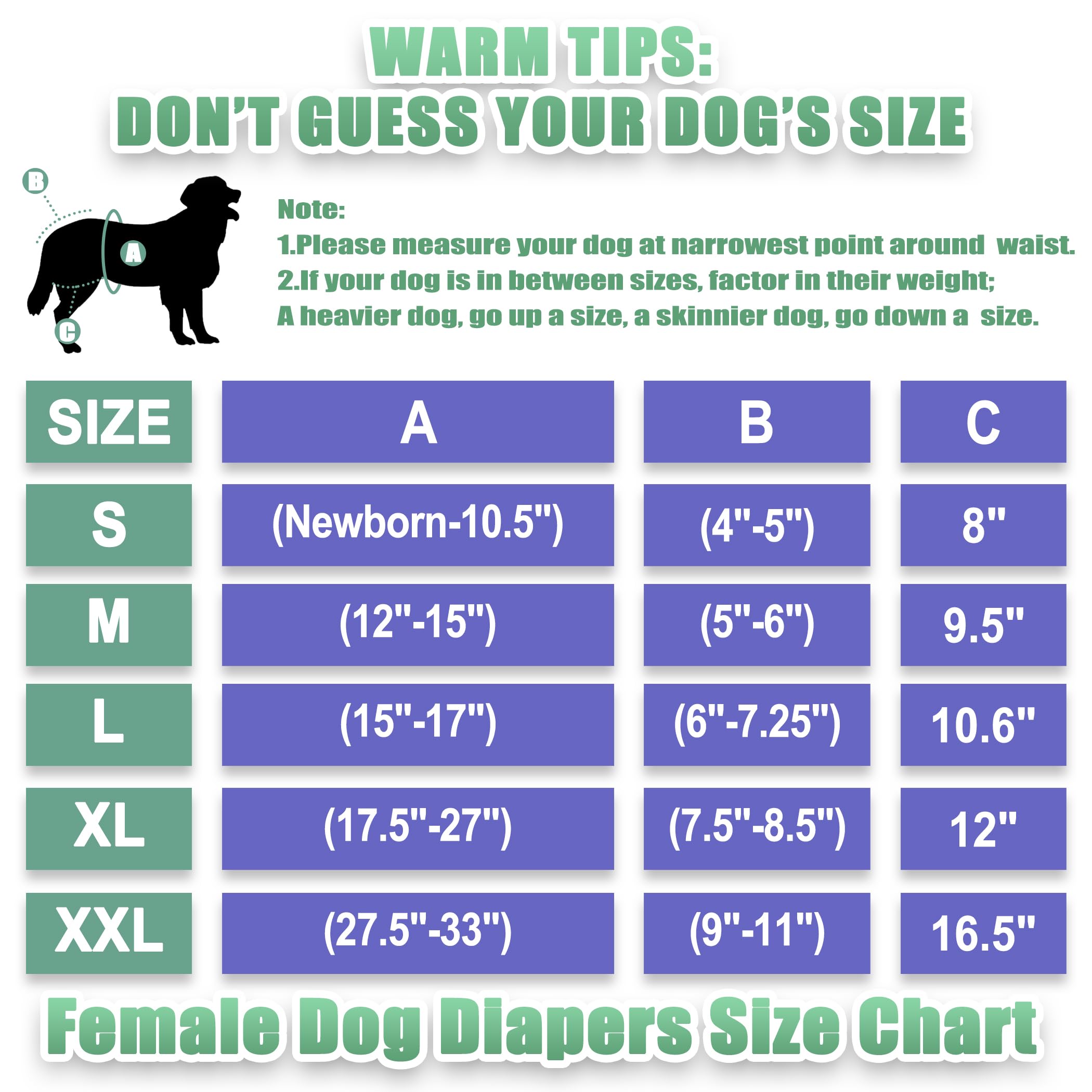 wegreeco Luxury Washable Reusable Dog Diapers (Stylish Pattern) - Female Dog Diapers, Doggie Diapers, 3 Pack (Lace, Large)