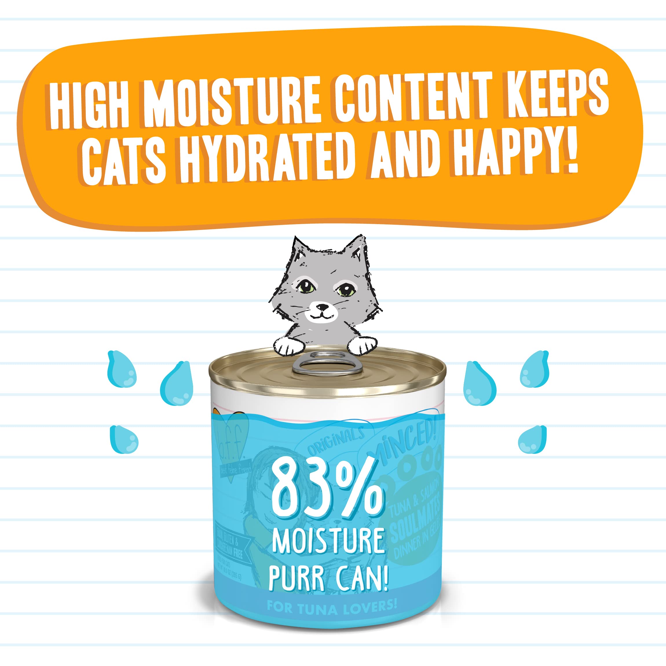 Weruva Best Feline Friend (B.F.F.) Grain-Free Cat Food, Tuna & Salmon Soulmates, 10-Ounce Can (Pack of 12)