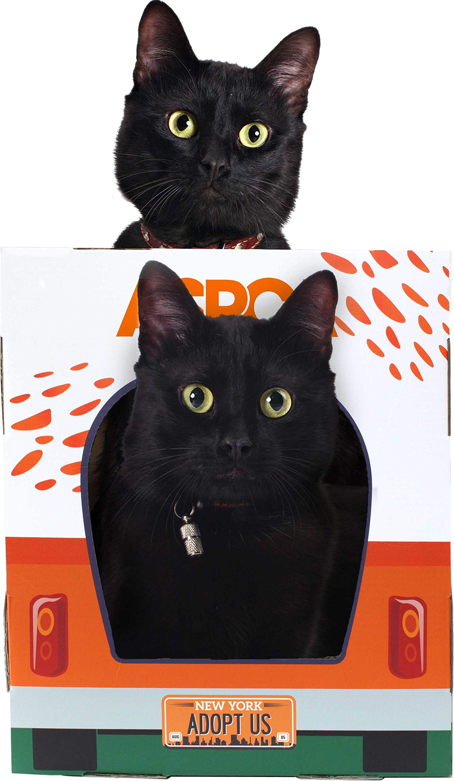 ASPCA Cat House & Scratcher with Bonus Catnip - Adoption Truck Design, Perfect for Cats, Durable & Fun Play Space