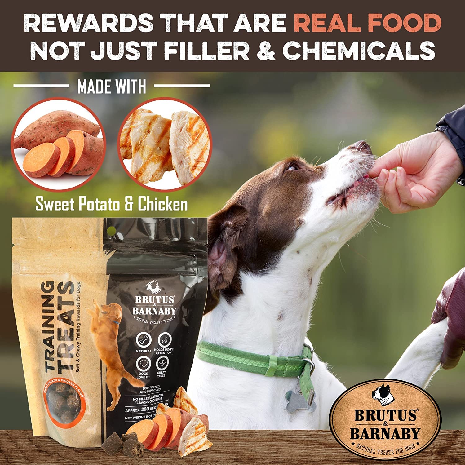 BRUTUS & BARNABY Training Treats for Dogs - Sweet Potato & Chicken - All-Natural Healthy Low Calorie Treat - Great to Use for Re