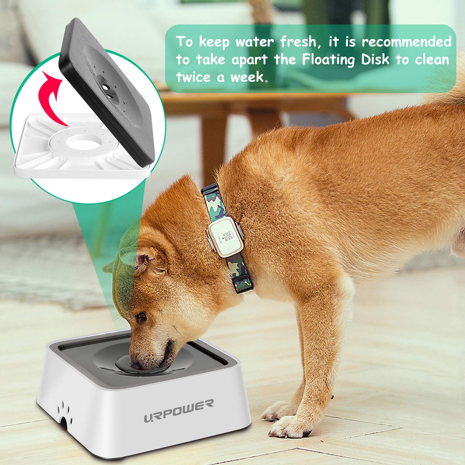 URPOWER 2.5L Grey Dog Water Bowl - No Spill Pet Water Dispenser for Dogs, Cats & Pets, Travel-Friendly Slow Feeder, 85oz Capacity