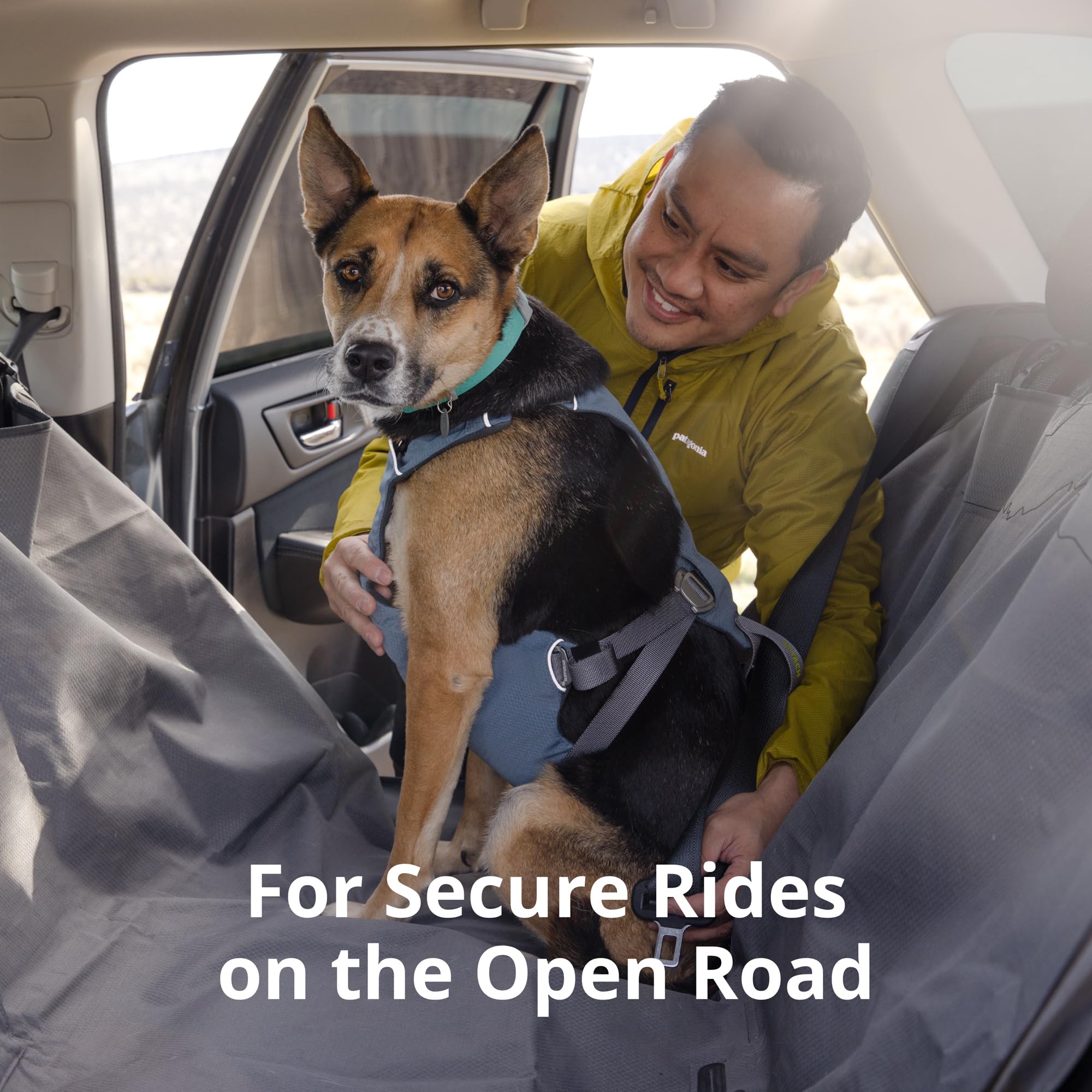 Ruffwear, Load Up Dog Harness, Strength-Rated Car Safety Harness With Universal Seat Belt Attachment, Slate Blue, Large/X-Large