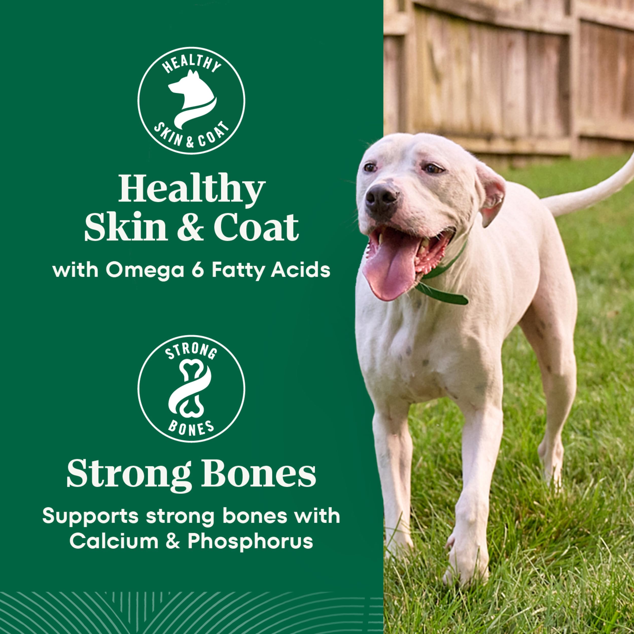 Nutro Natural Choice Adult Healthy Weight Dry Dog Food, Lamb and Brown Rice Recipe, 30 lbs.