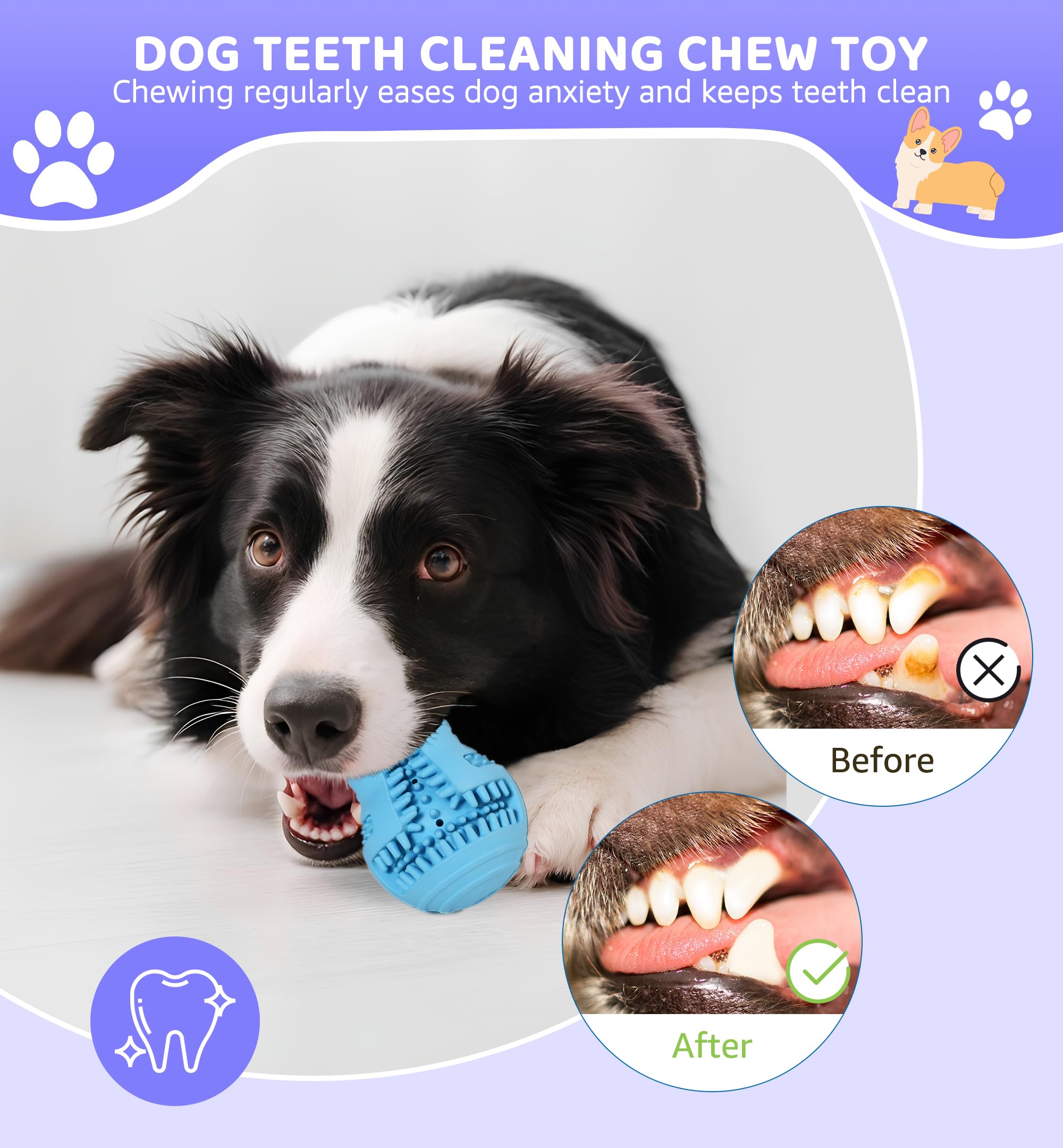 Iptpas Durable Dog Chew Toy For Teeth Cleaning, Natural Rubber Dental Toy For Small Medium Dogs & Teething Puppies, Tough Chew T