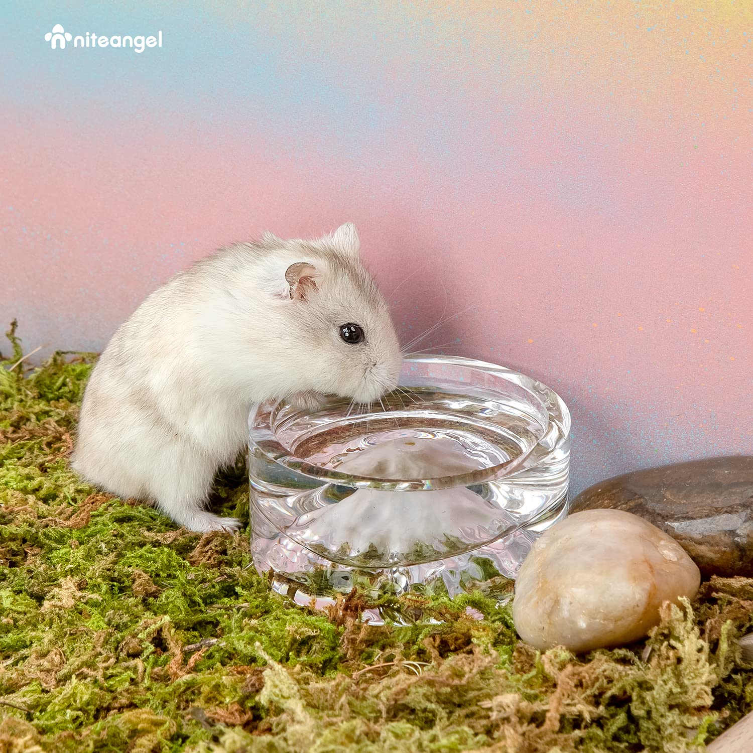 Niteangel Hamster Feeding & Water Bowls- Mount Fuji Series Glass Drinking Bowls for Dwarf Syrian Hamsters Gerbils Mice Rats or O