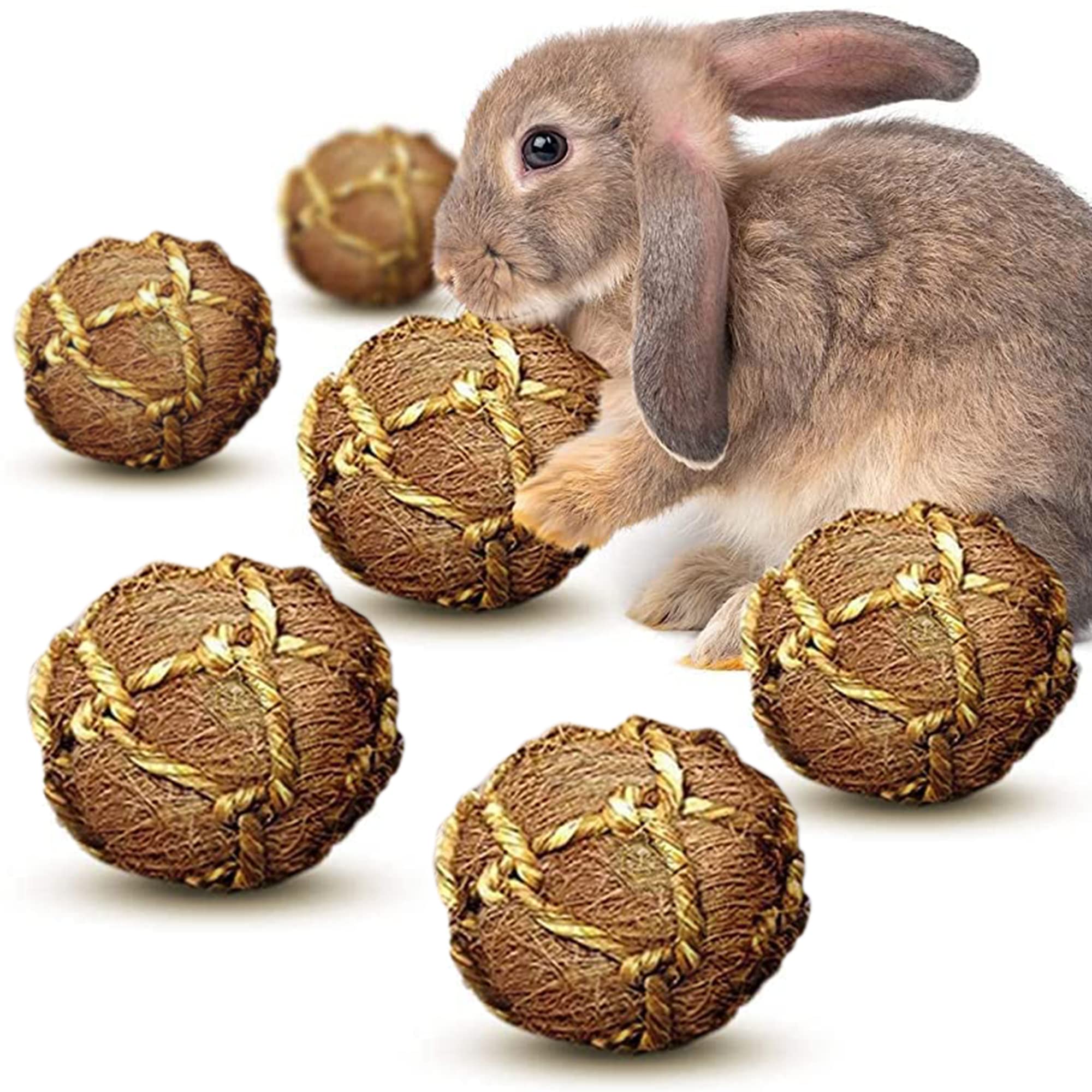SunGrow Assorted Rabbit & Cat Chew Balls, Teething Activity Toy for Pocket Pets, Improves Dental Health, Environment Friendly, S