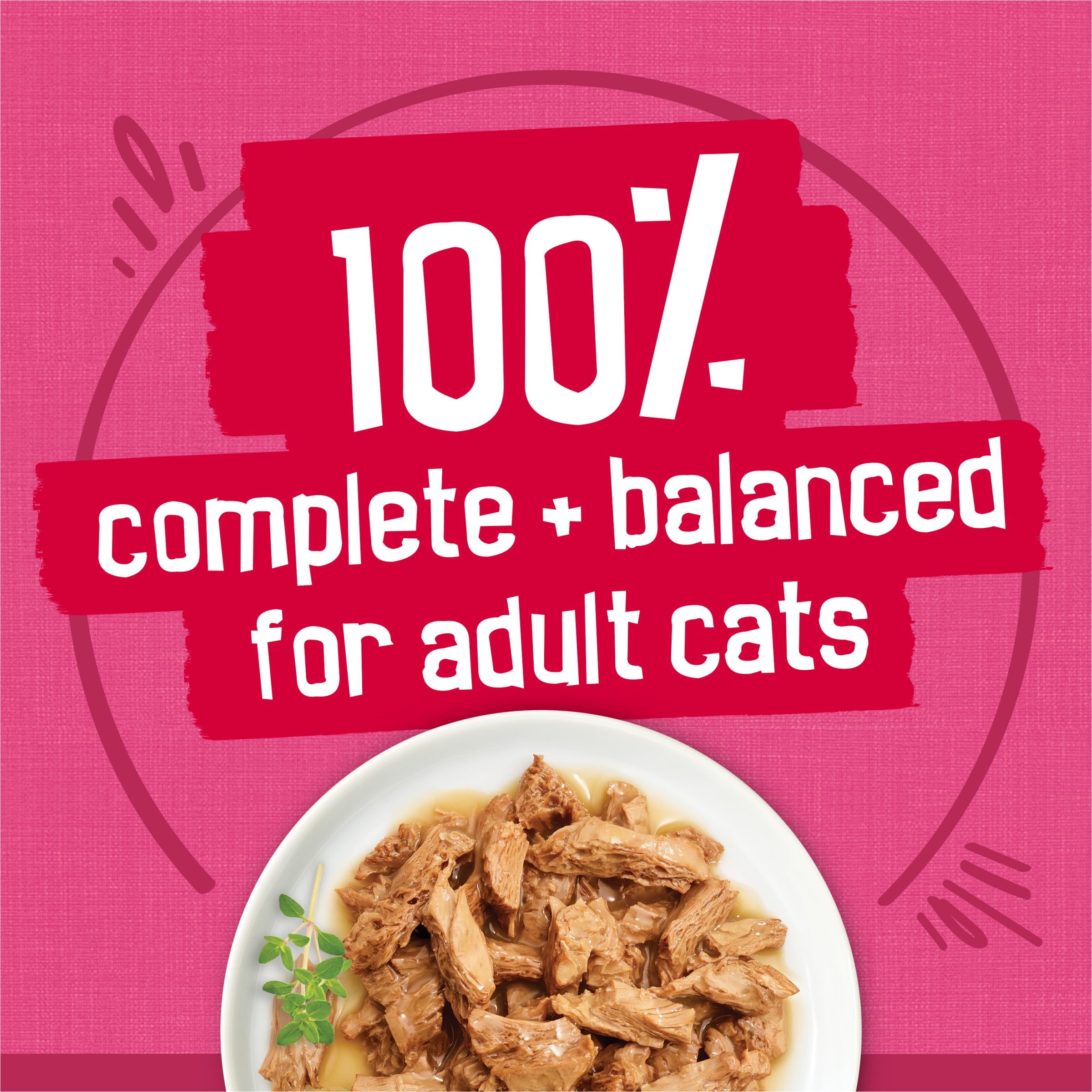 Purina Friskies Gravy Wet Cat Food Variety Pack, Surfin and Turfin Prime Filets Favorites - 48 ct. Can