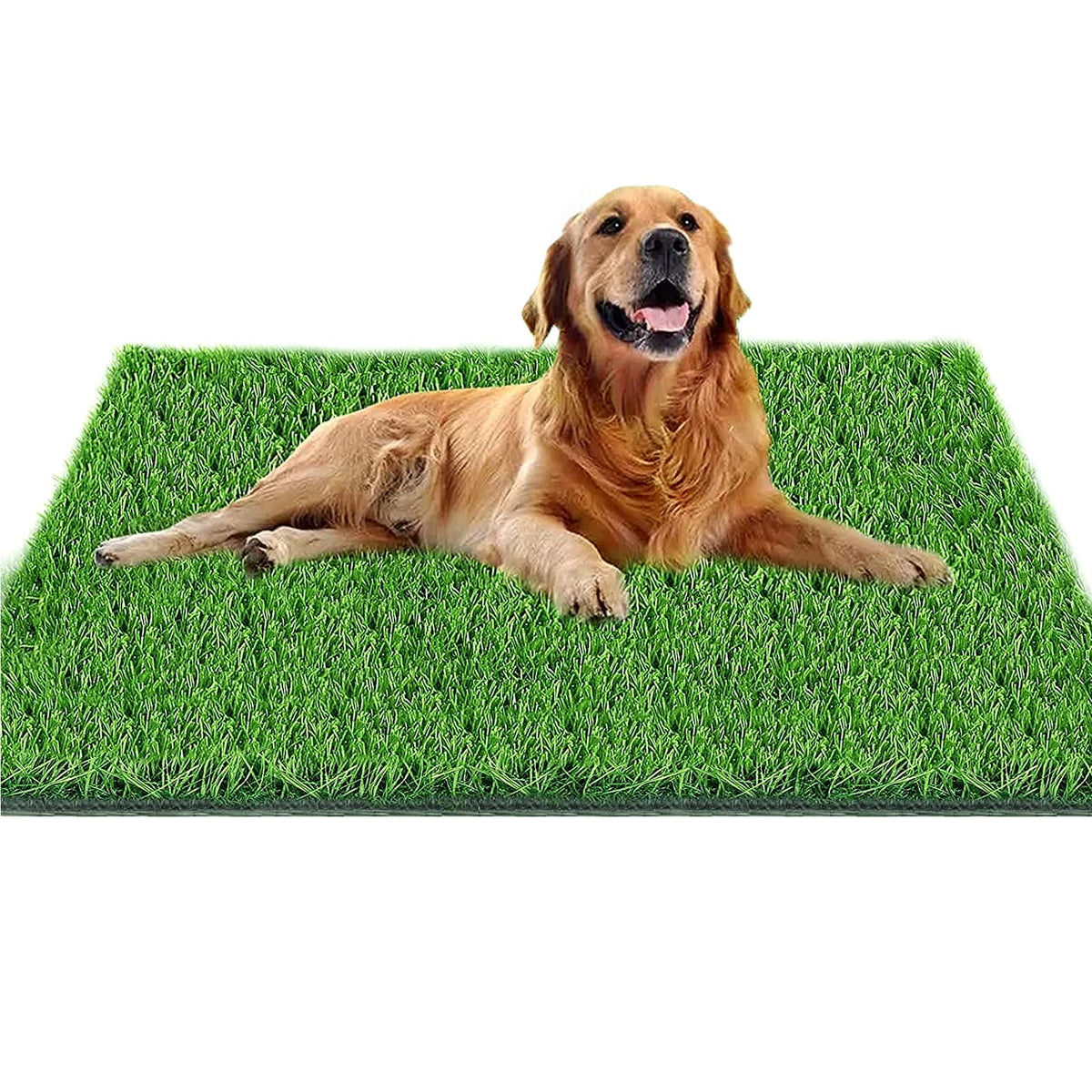 Fortune-Star Dog Pee Grass, 51.2In X 31.5In Dog Potty Grass, Artificial Grass For Dogs Suitable For Indoor/Outdoor And Dog Potty