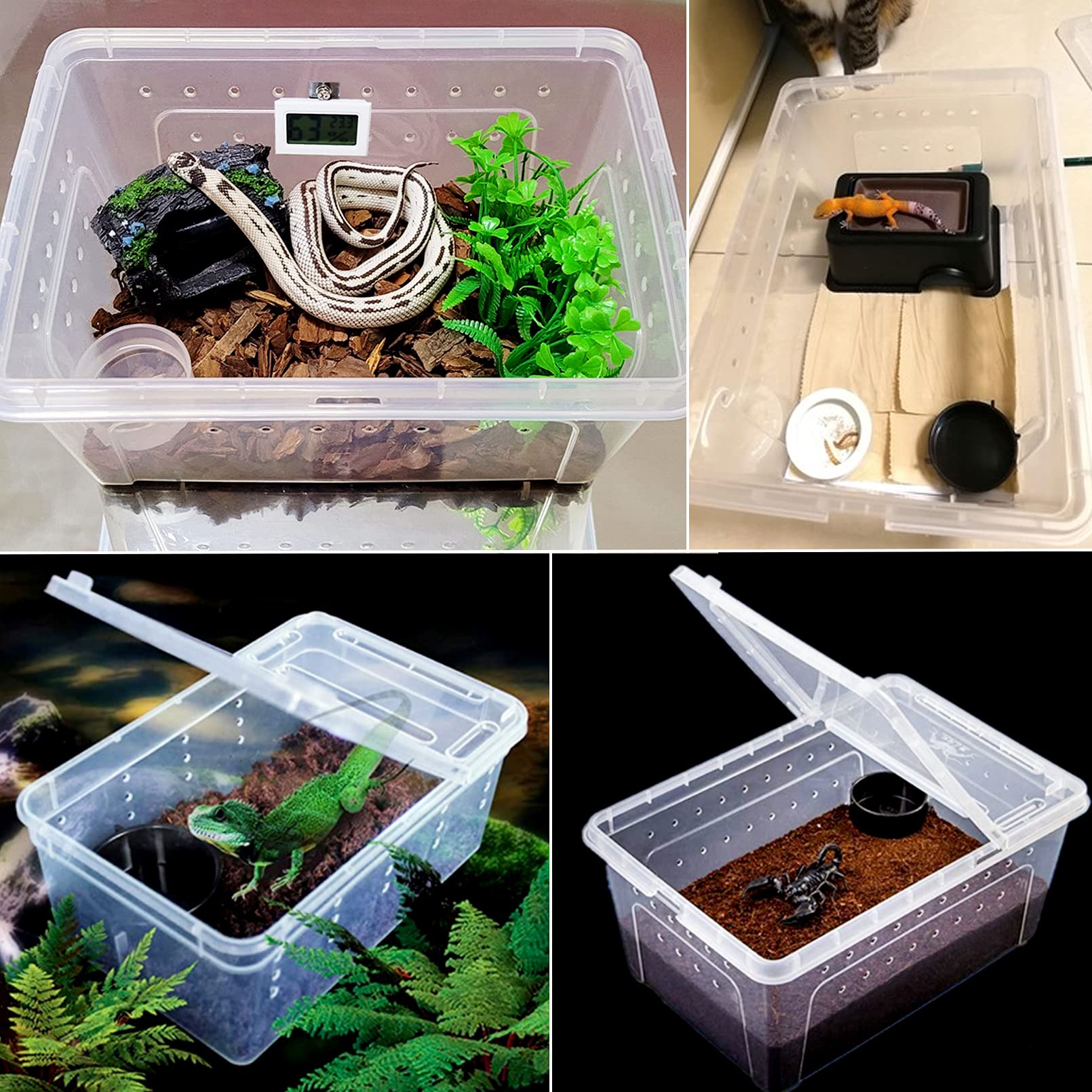 Hamiledyi 2Pcs Reptile Feeding Box Snake Breeding Box Transparent Animal Habitat Cage Portable Plastic Turtle Transport Container For Bearded Dragon Lizard Spider Frog Scorpion Gecko 12.6 X 8.6 X 5.9