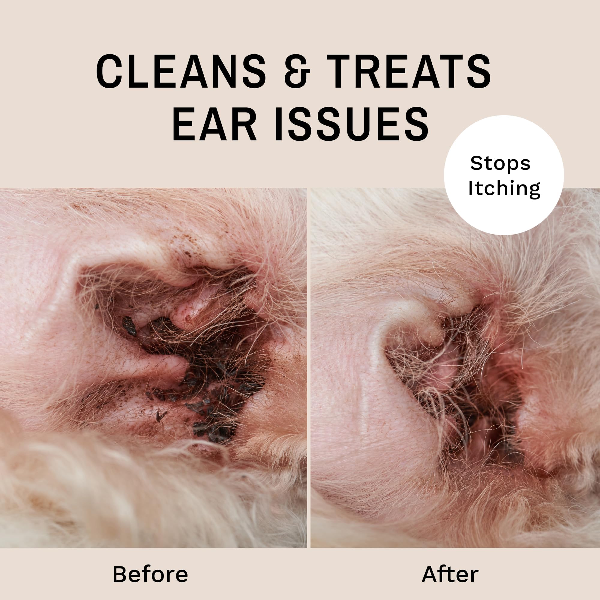 Eye Envy Ear Cleaning Solution for Dogs and Cats. Made in The USA. Safe, All-Natural Dog Ear Cleaner. Prevents Dog Yeast Ear Inf