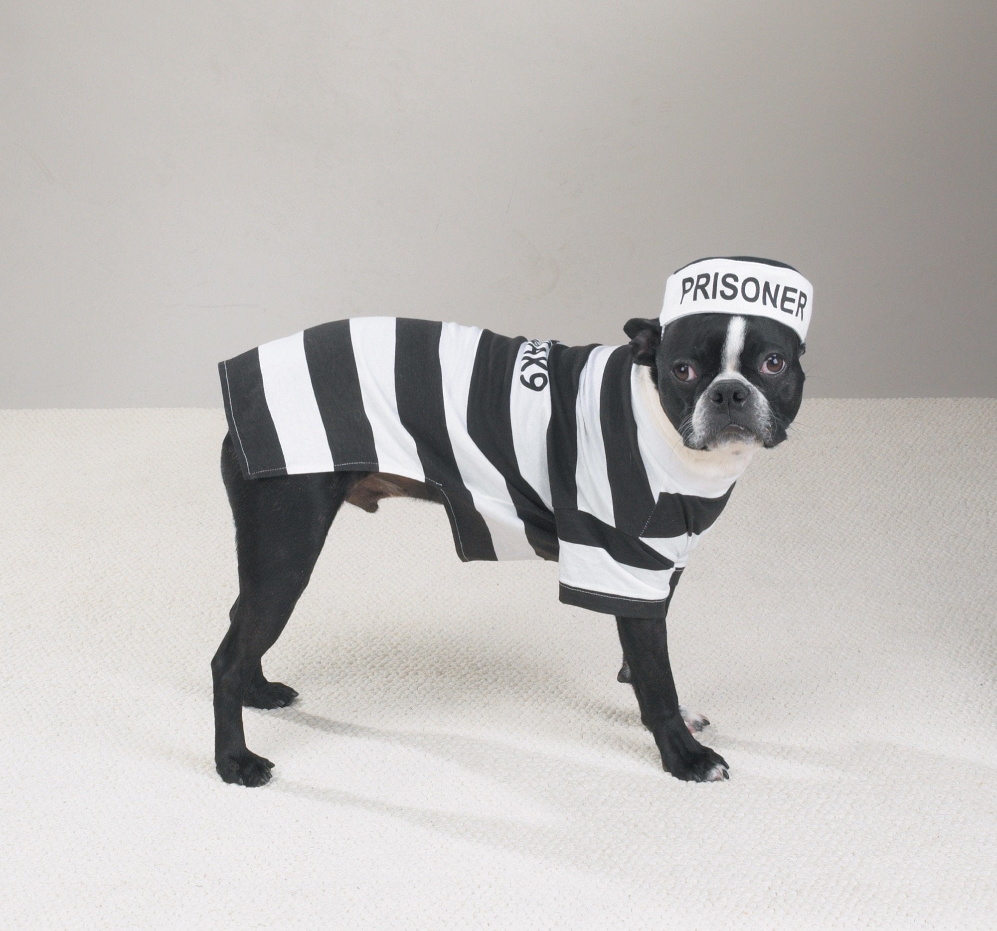 Casual Canine Prison Pooch Costume for Dogs, 24 XL, Black and White