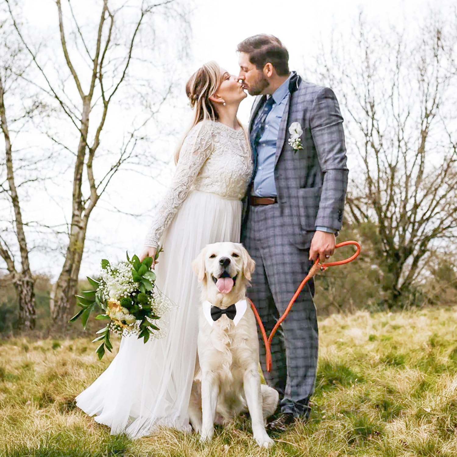 Segarty Dog Tuxedo Bow Tie Collar - Black Bowtie With Handcrafted Adjustable White Formal Pet Cats Necktie For Medium Large Boy
