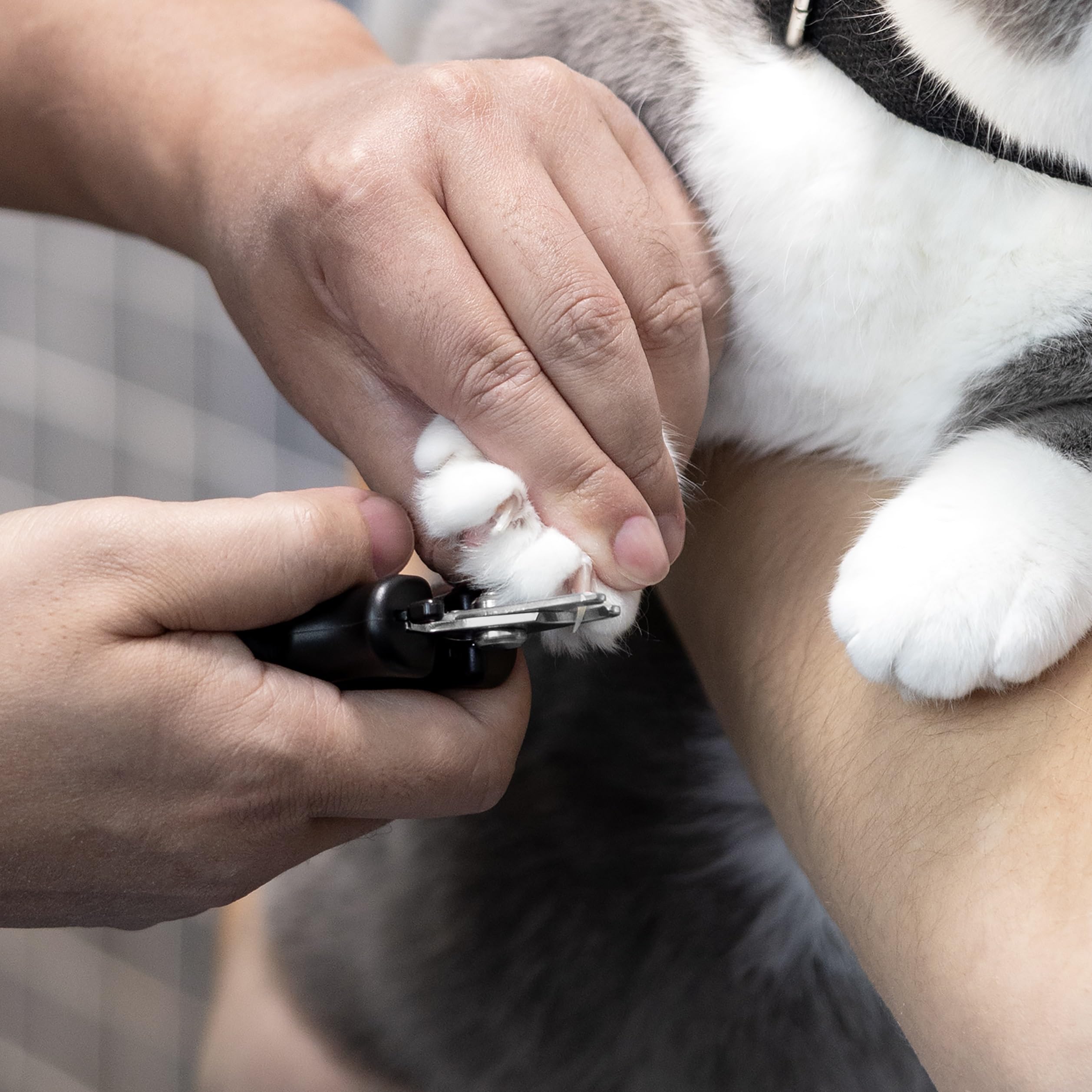 Tweezerman Small Nail Clippers For Dogs & Cats, Manual Professional Dog & Cat Nail Trimmer With Ergonomic Handle