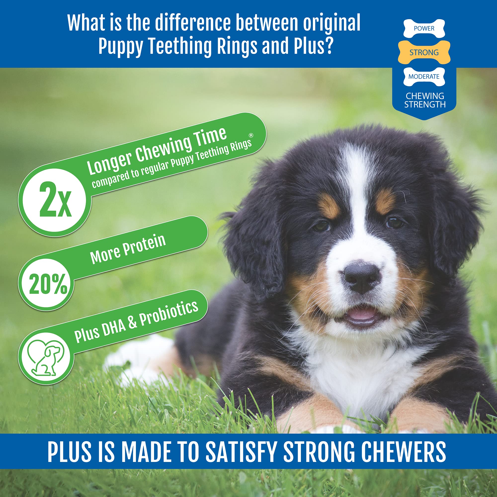 N-Bone Puppy Teething Rings Plus, Chicken Flavor, 7-Count, 8.4oz