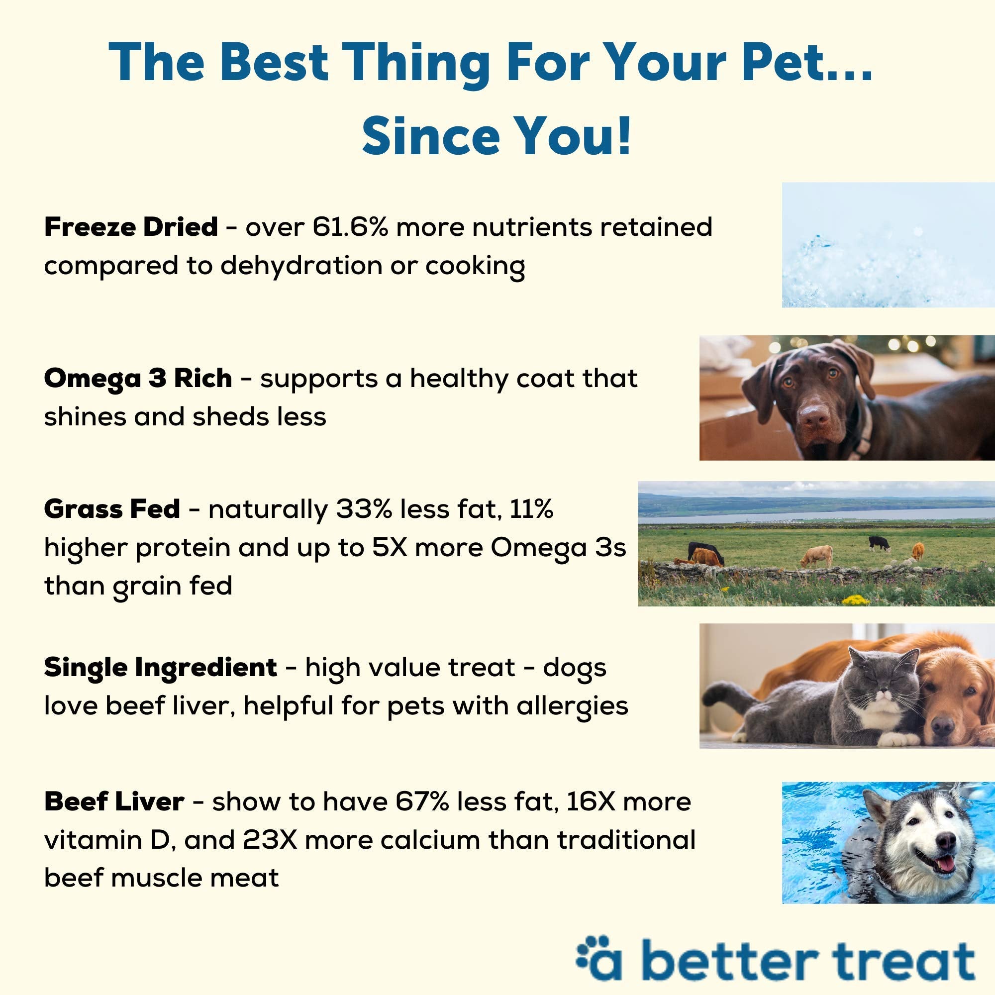 A Better Treat - Organic, Freeze Dried, Single Ingredient, 100% Grass Fed and Finished Beef Liver Dog Treats, Cat Treats | Natur