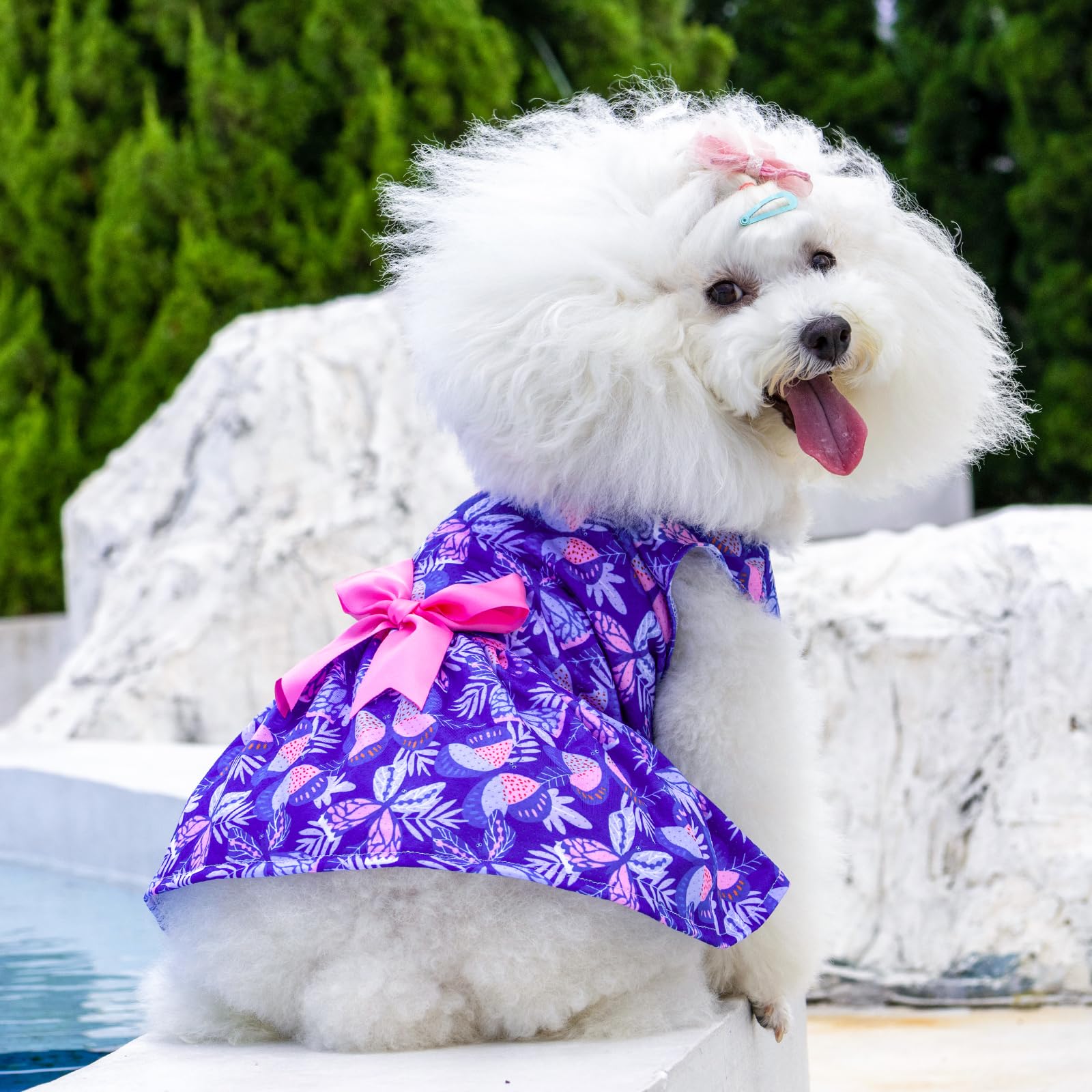 Cutebone Dog Mesh Dress Puppy Sundress Pet Outfit Summer Fashion For Small Dogs Girl Cat Clothes Bf25S