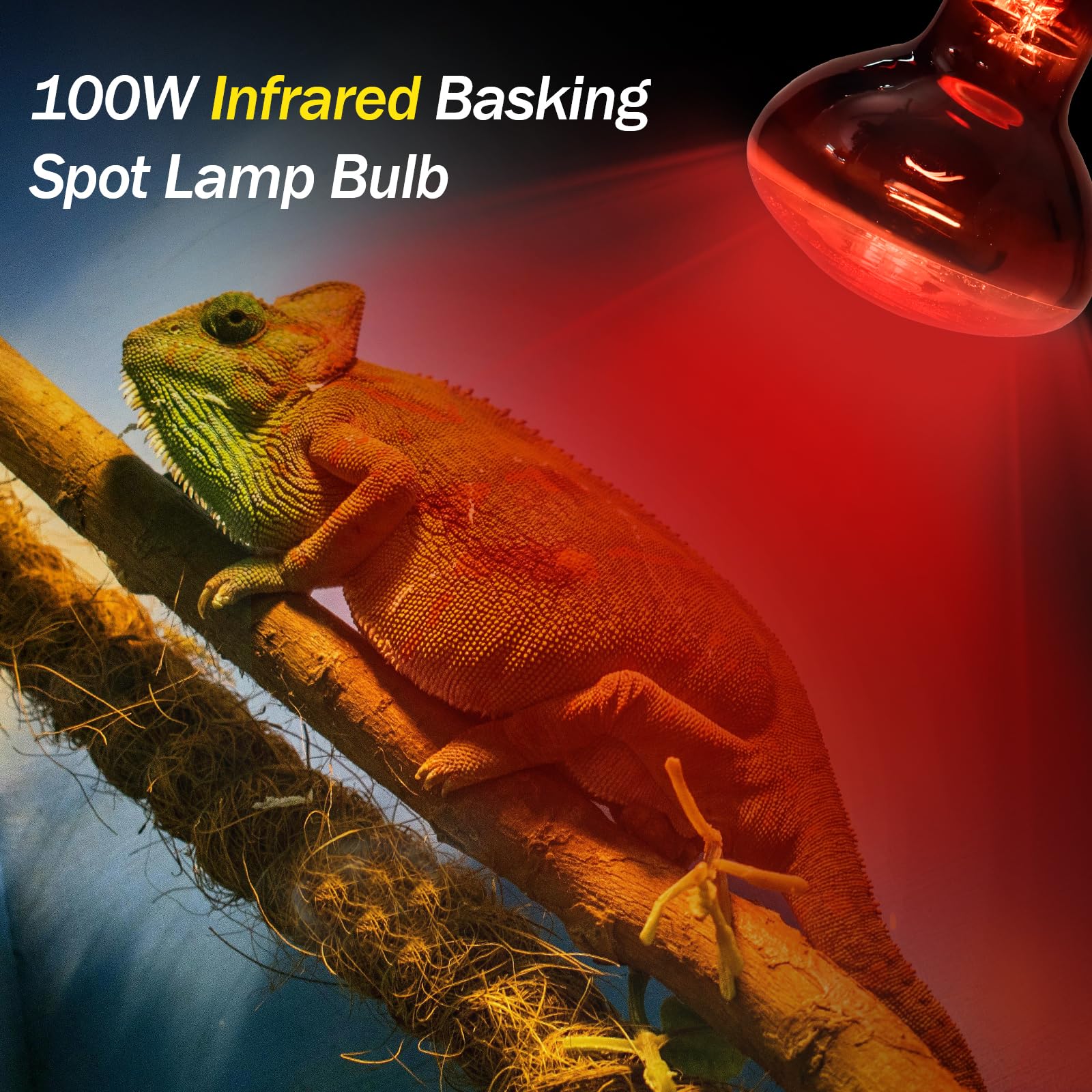 BOEESPAT 100W Daylight Basking Light Bulb & Infrared Heat Lamp Bulb for Amphibians Reptiles Bearded Dragon, Turtle, Lizard, Snak