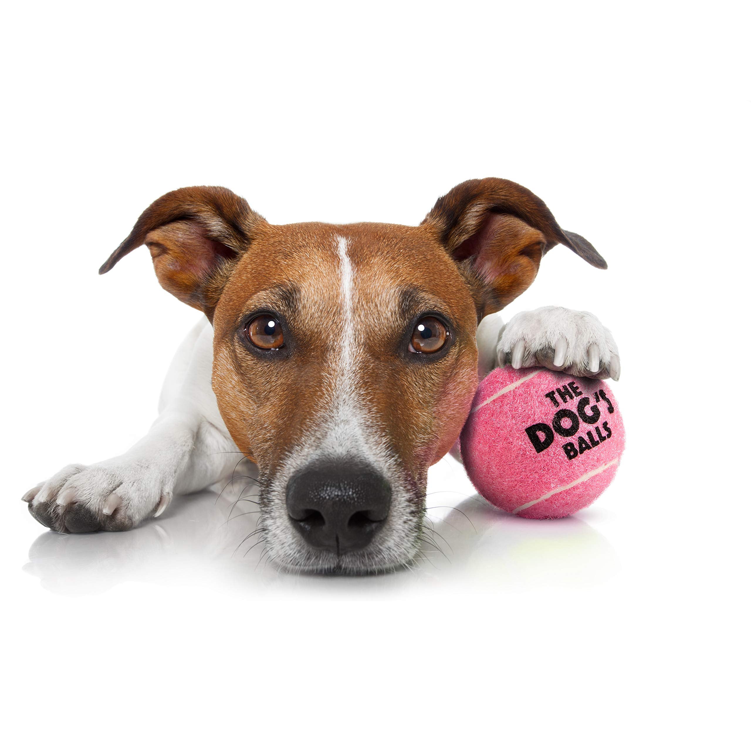 The Little Dog'S Balls, Dog Tennis Balls, 6-Pack Pink Dog Toy, Strong Dog & Puppy Ball For Training, Play, Exercise & Fetch