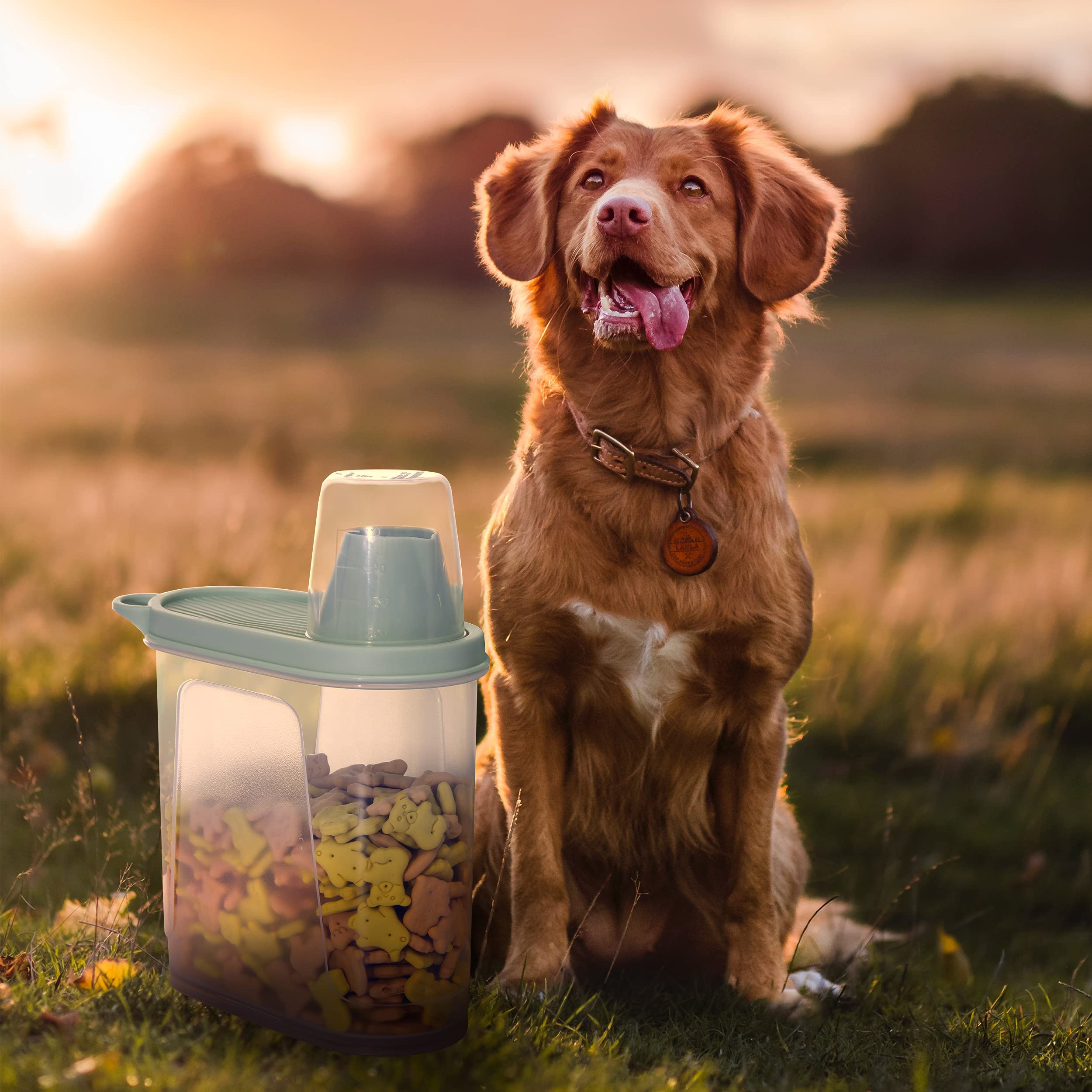 Citylife 3 PCS Pet Food Container Airtight 1.8 LB Plastic Cat Food Container for Dry Food Small Dog Food Containers with Pour Sp