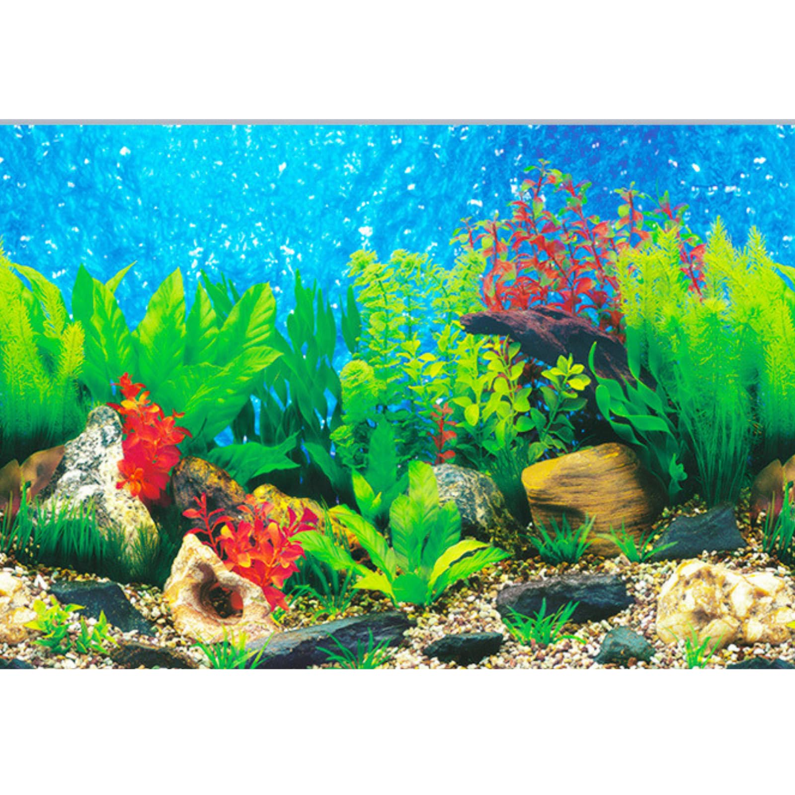 Elebox New 20' X 48' Fish Tank Background 2 Sided River Bed & Lake Background Aquarium