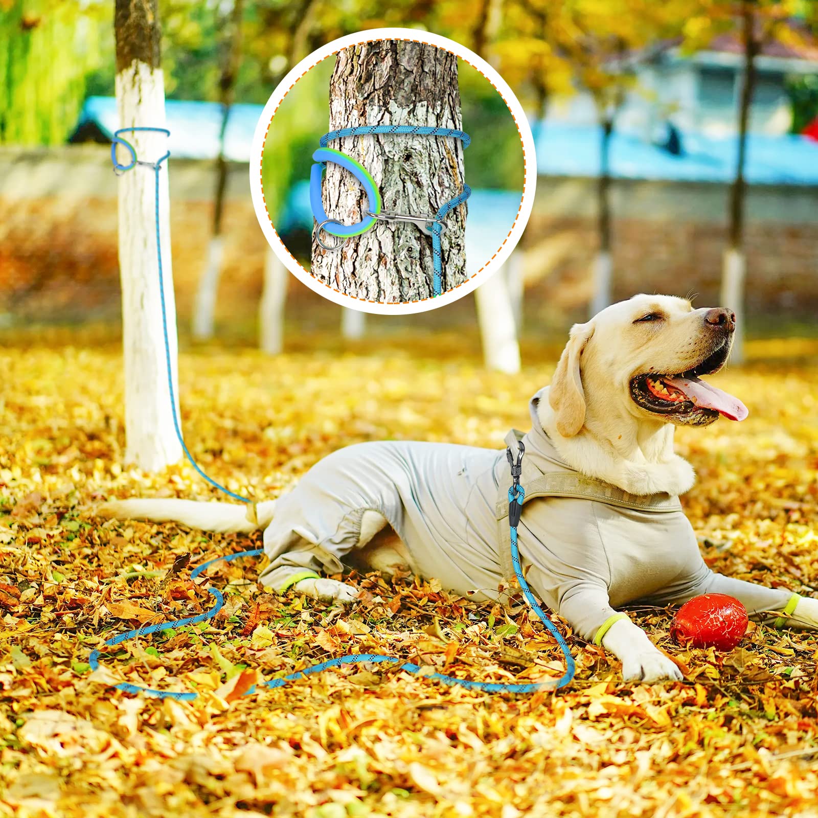 Ntr Training Leash, 30Ft Blue Check Cord Rope Lead, With 2 Swivel Hooks, Reflective Threads And Comfortable Handle, Puppy Leash