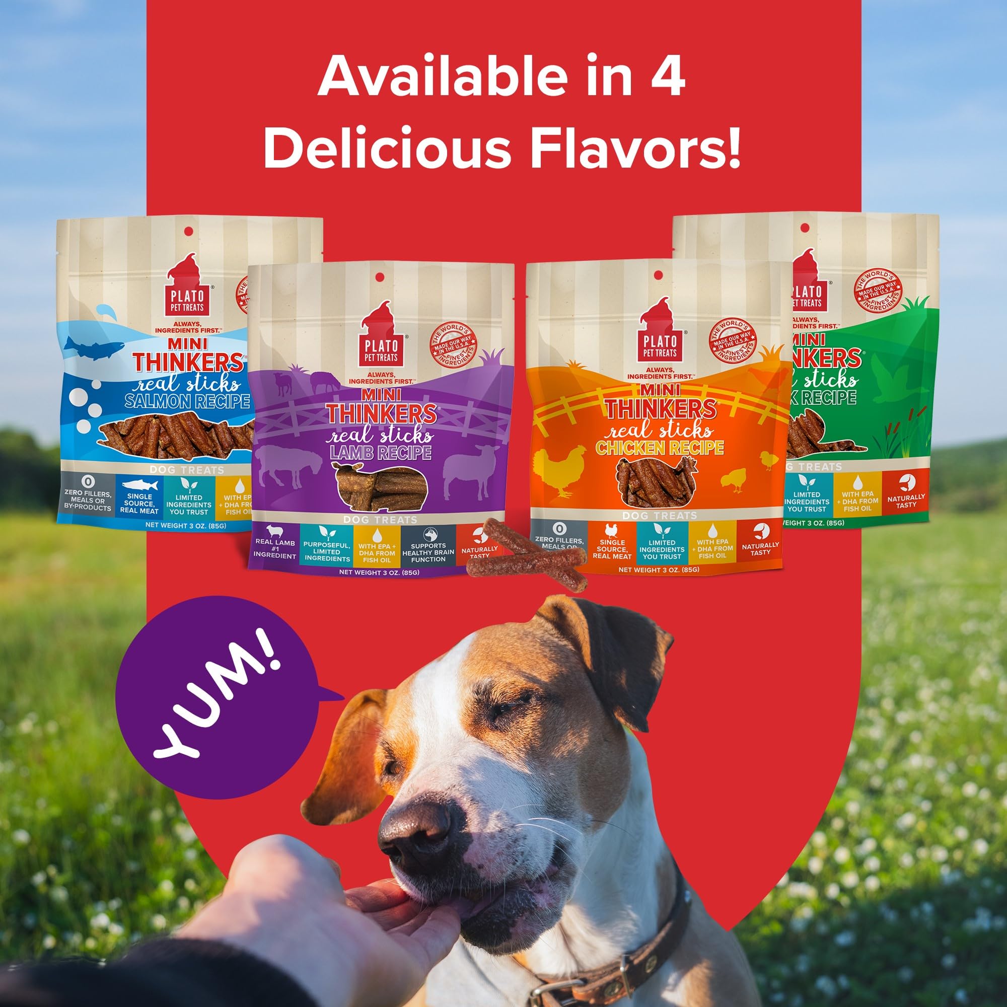 Plato Pet Treats Air Dried Dog Treats Lamb Mini Thinkers Sticks, Natural Dog Treats, Real Meat, Air Dried, Made in the USA, 6oz