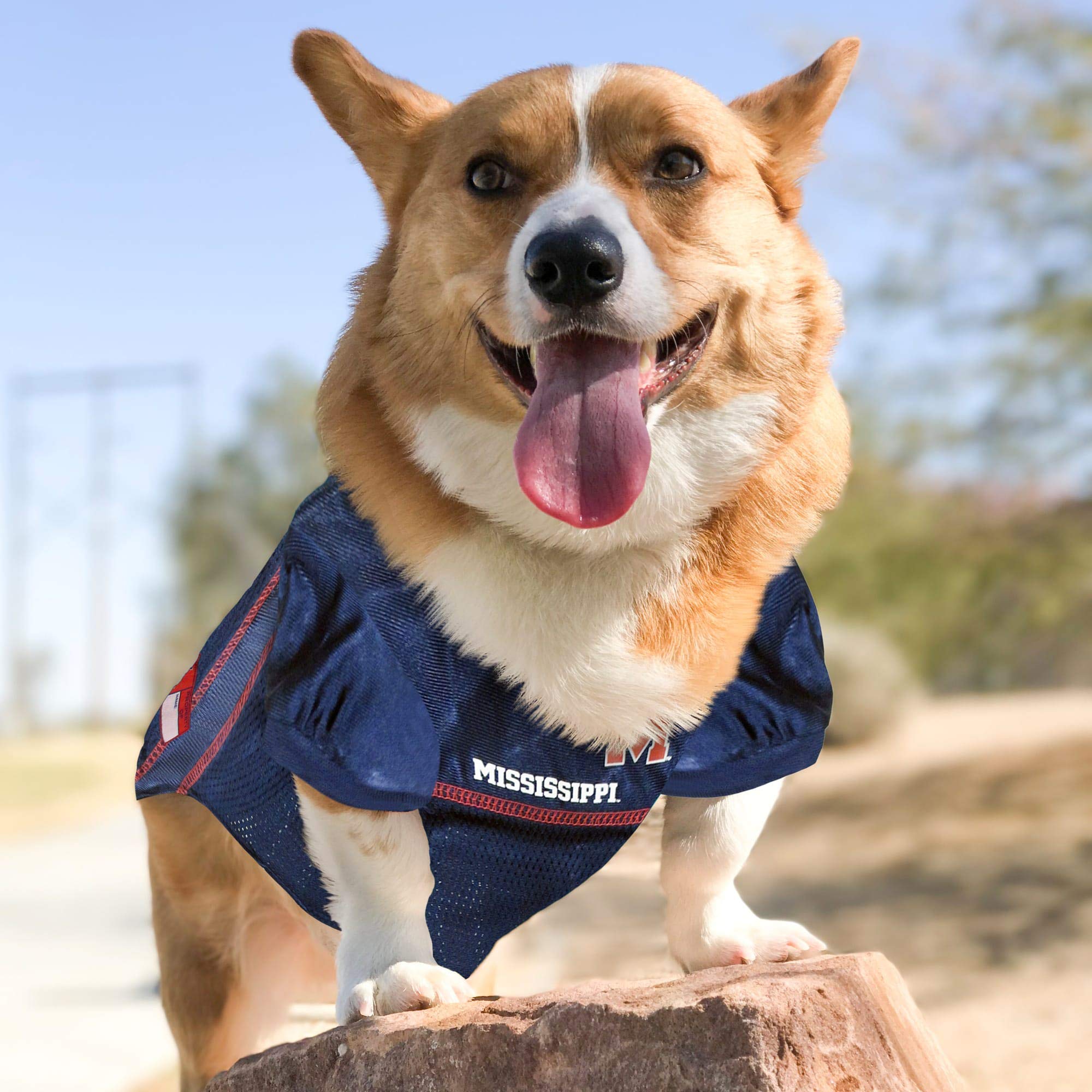 Pets First NCAA College Mississippi Ole Miss Rebels Mesh Jersey for Dogs & Cats, XX-Large. Licensed Dog Jersey with Your Favorit
