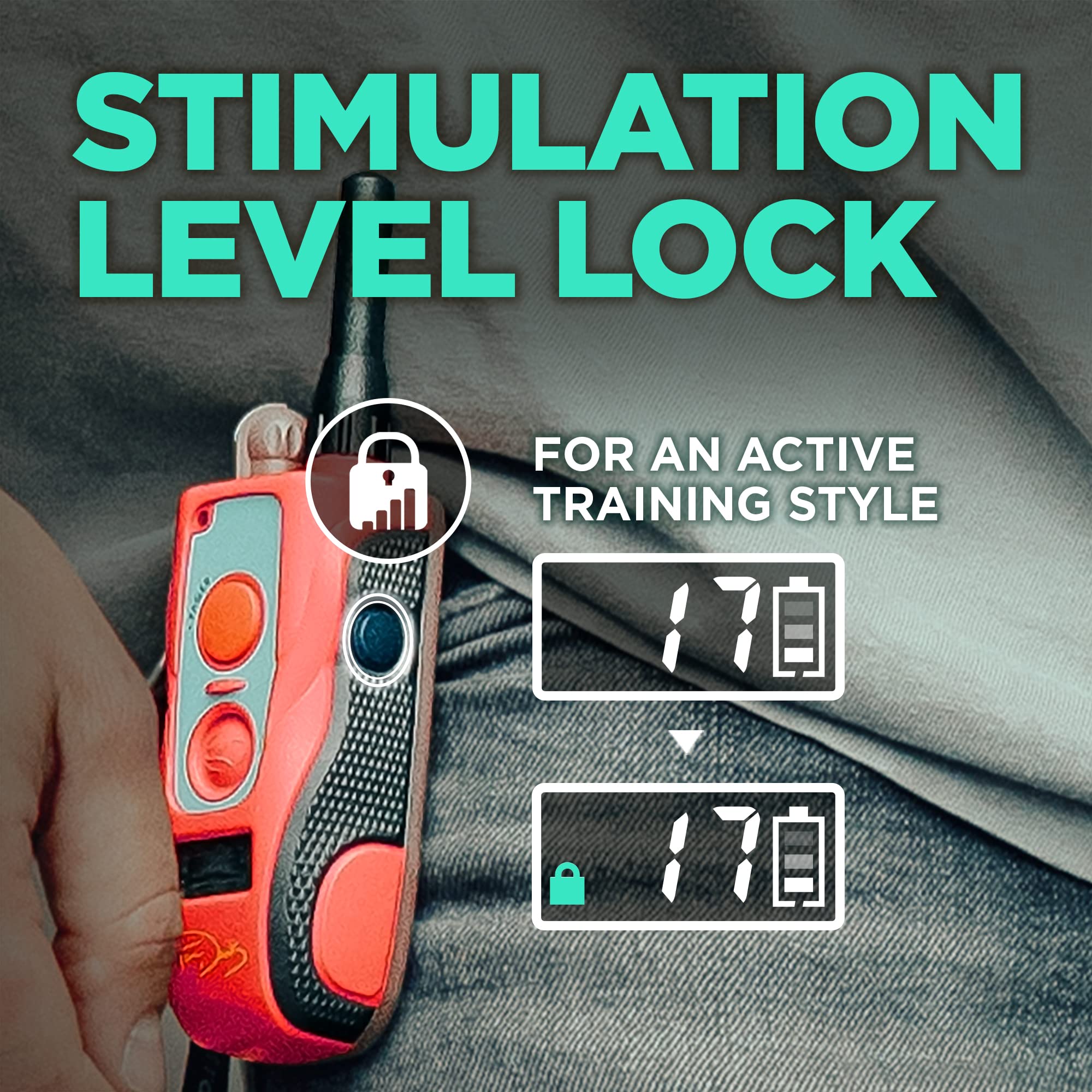 Dogtra E-Collar Tom Davis 280C Boost & Lock, Waterproof, 1/2-Mile Range Dog Training Collar With Remote, Rechargeable, 127 Level