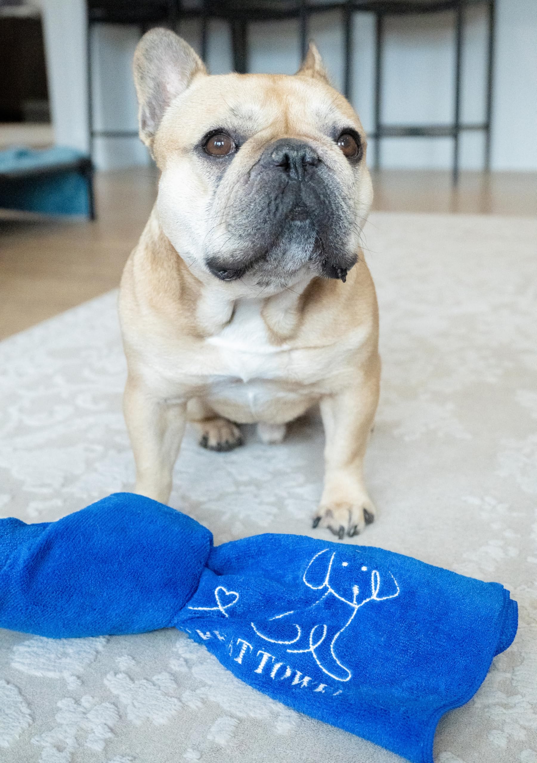 Green Treat Towel (Blue)