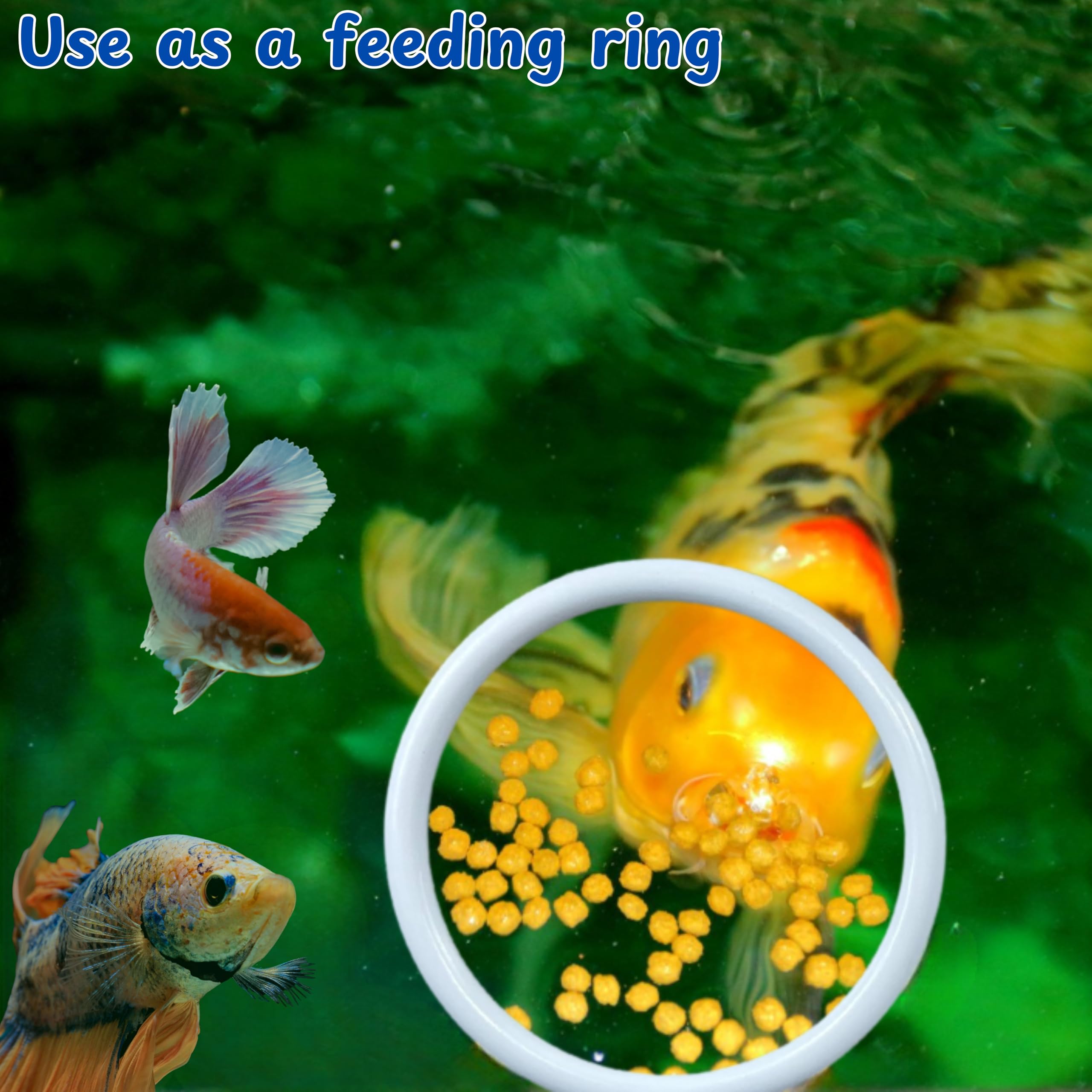 Betta Fish Exercise Ring And Filter Balls Set, Betta Ring Training Loop With Suction Cup And Nitrifying Ball, Betta Enrichment T