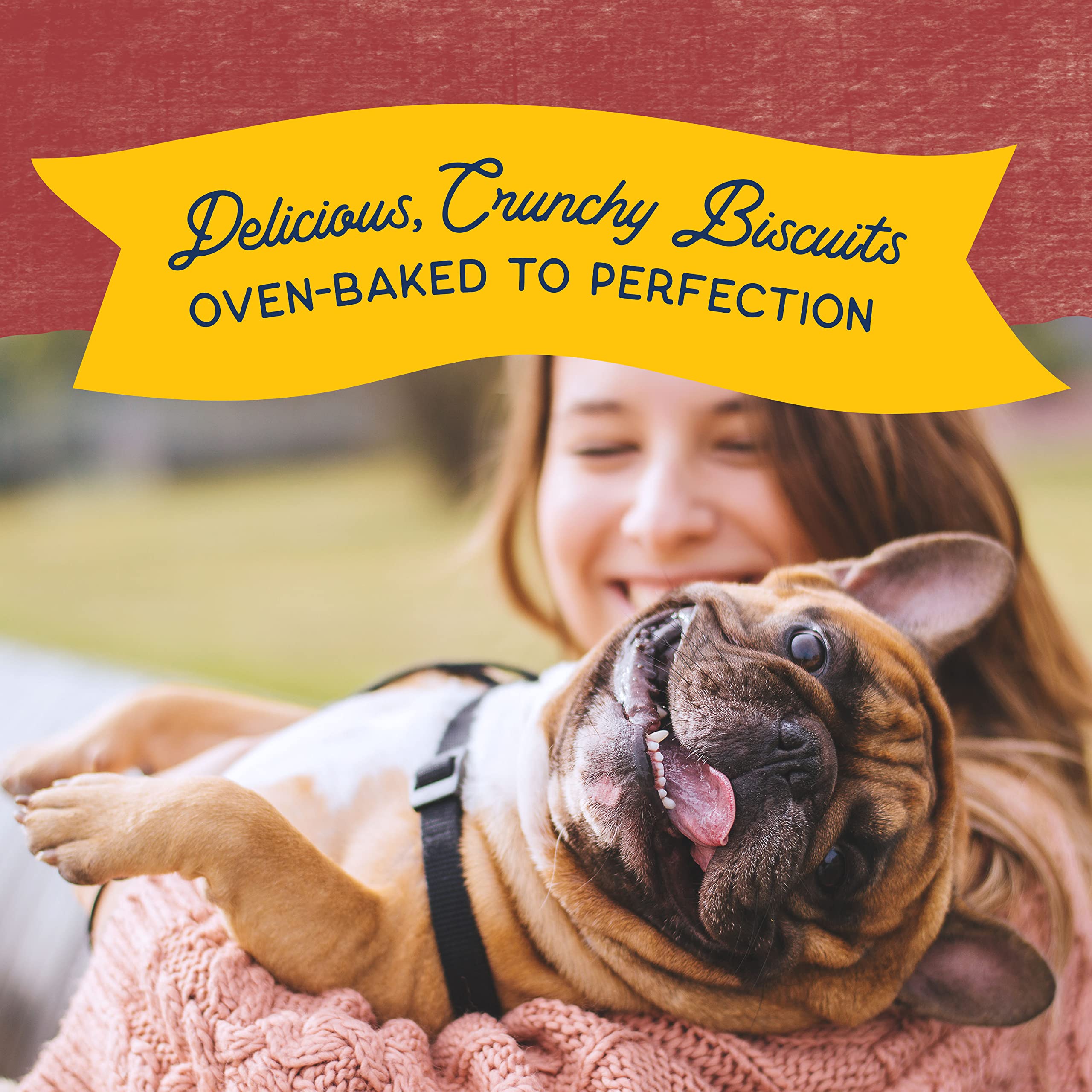 Natural Balance Limited Ingredient Rewards Crunchy Biscuits, Grain-Free Dog Treats for Adult Dogs of All Breeds, Sweet Potato &