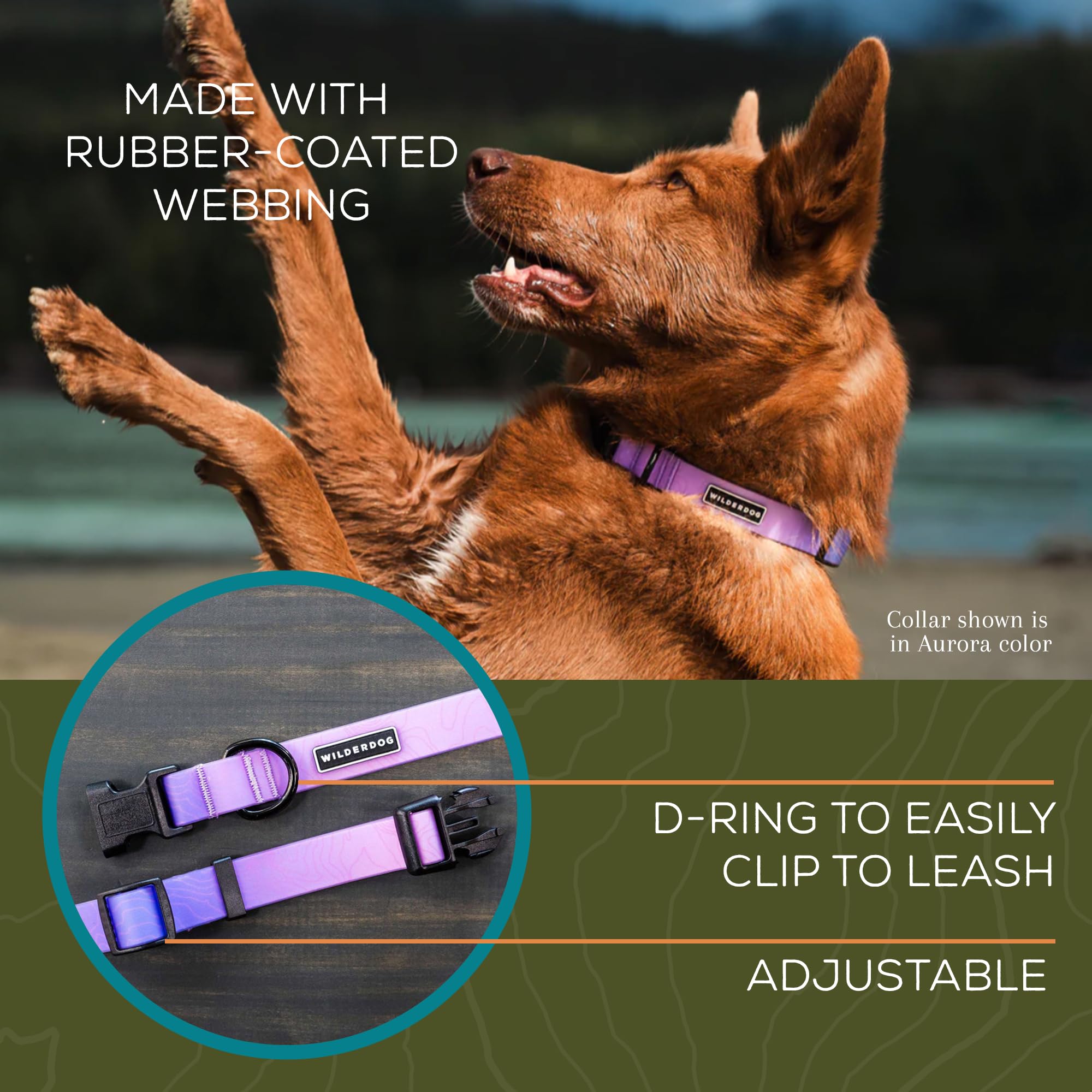 Wilderdog Waterproof Dog Collar - Repels Water & Dirt - Medium 13''-18'' - Aurora