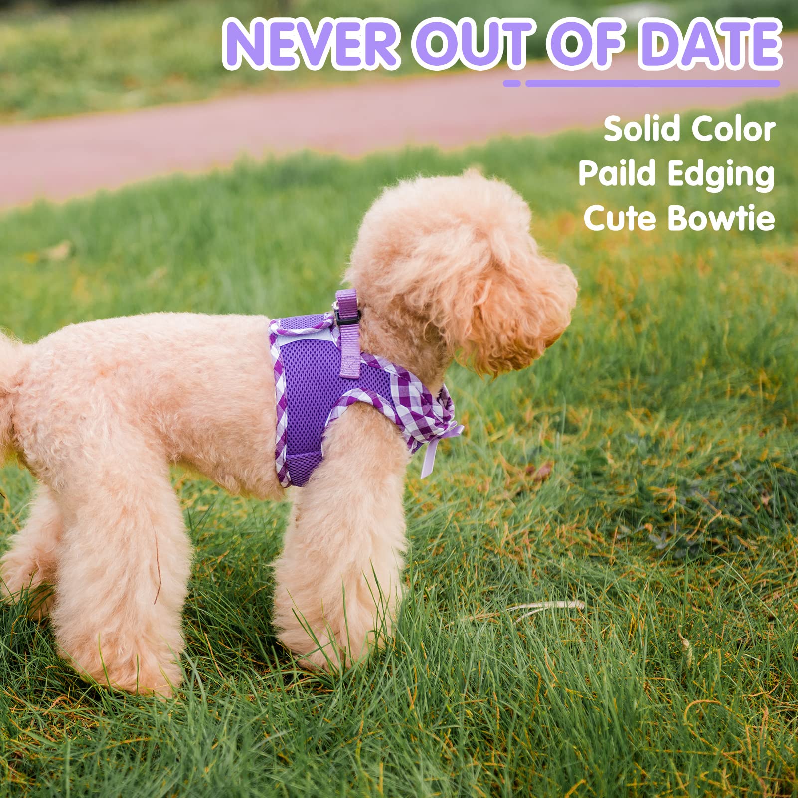 Pupteck Small Dog Harness No Pull Step-In Puppy Cat Harness Soft Mesh For Girls, Purple Xs