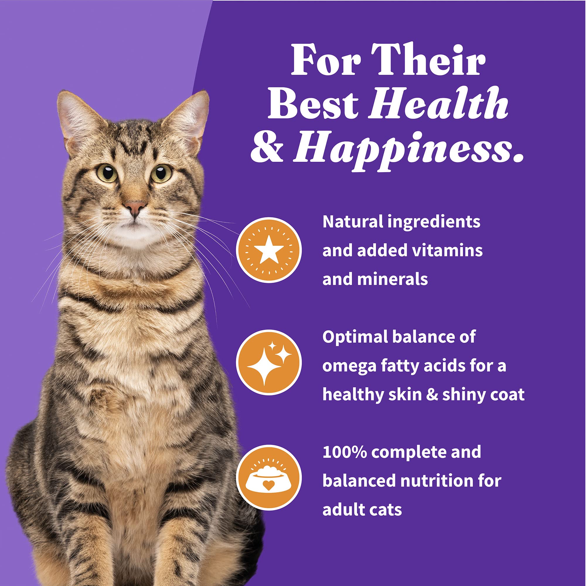 Halo Holistic Cat Food Dry, Cage-free Chicken Recipe, Complete Digestive Health, Dry Cat Food Bag, Adult Formula, 3-lb Bag