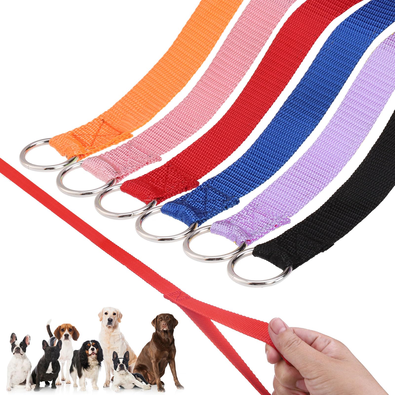 Homimp Slip Lead Dog Leash 6 Ft- 6 Pcs Bulk Colors Kennel Control Leashes For Small Medium Large Dogs Puppy Animal Rescue, Groom