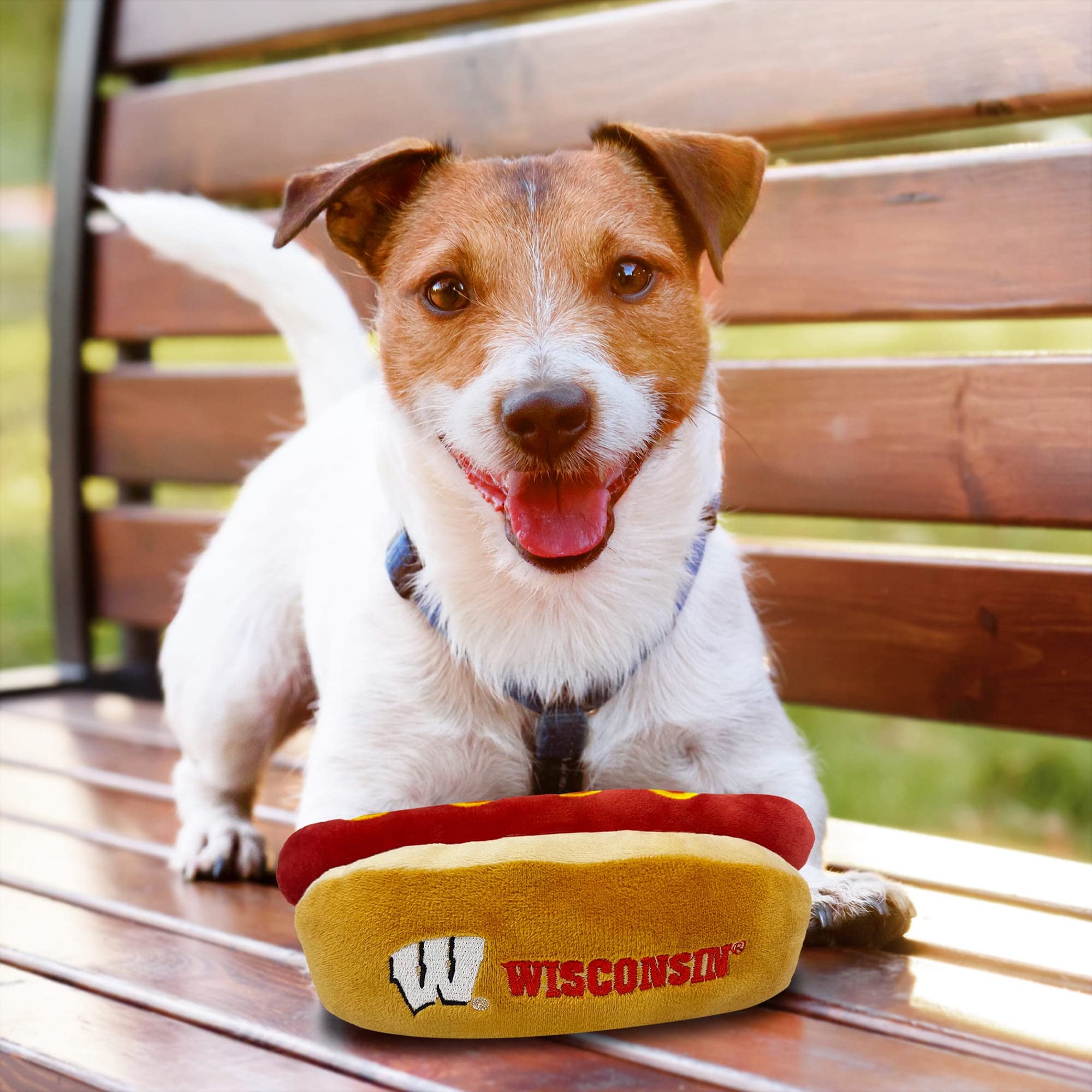 Pets First Ncaa Wisconsin Badgers Hot Dog Plush Dog & Cat Squeak Toy- Cutest Hot-Dog Snack Plush Toy For Dogs & Cats With Inner