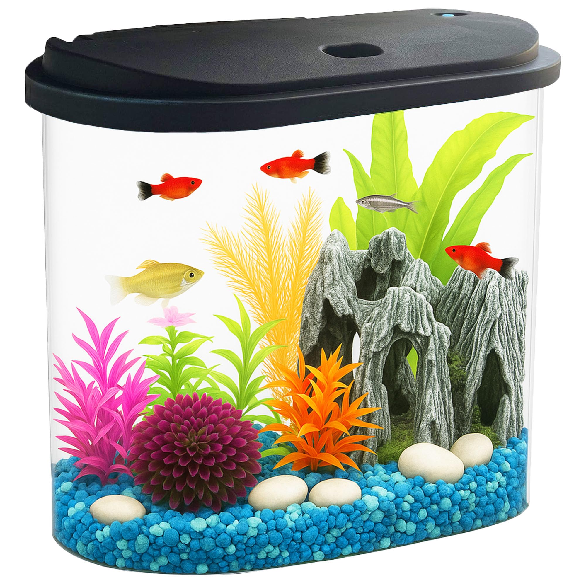Koller Products LED Aquarium Starter Kit with Easy-Flow Filtration Technology, Black, 4.5 Gallons,