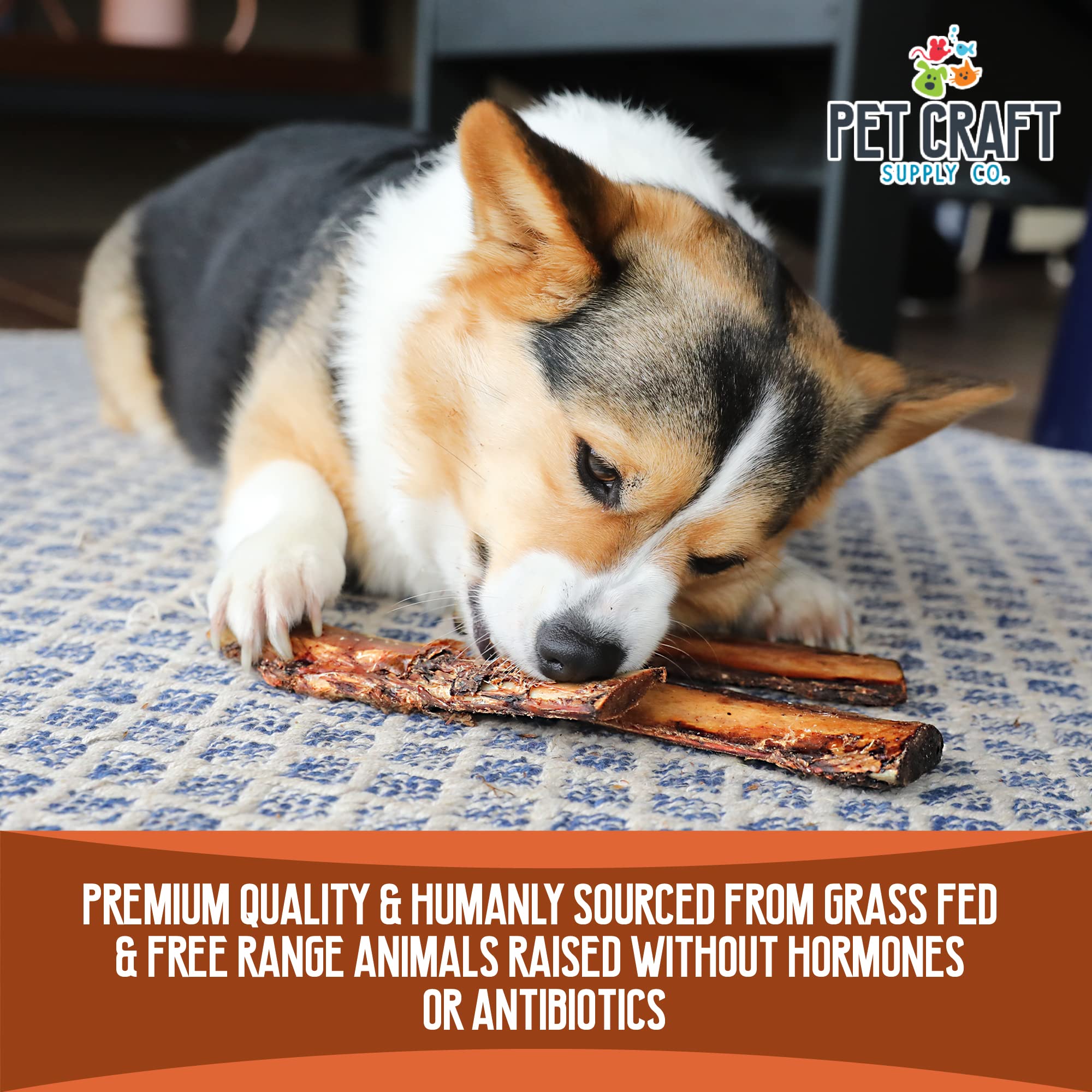 Pet Craft Supply All Natural Healthy Buffalo Rib Bones Dog Chews Treats for Aggressive Chewers Long Lasting Rawhide Free Premium