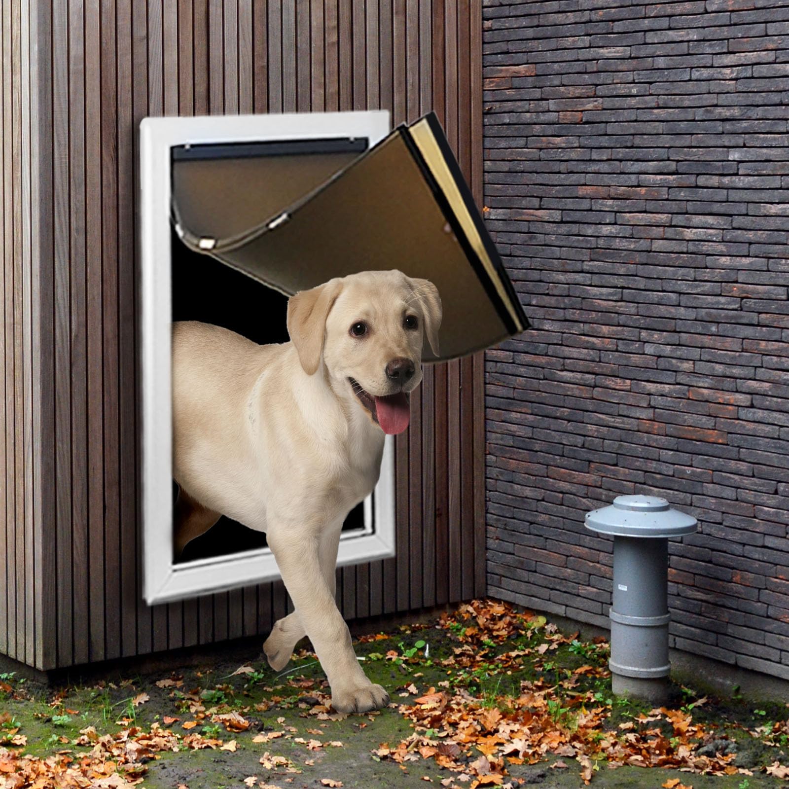 FUELIO XL Aluminum Dog Door for Wall - Extra Large, Double Flap, Silvery White, Model FLDD2609-XL, Pet Safe Design