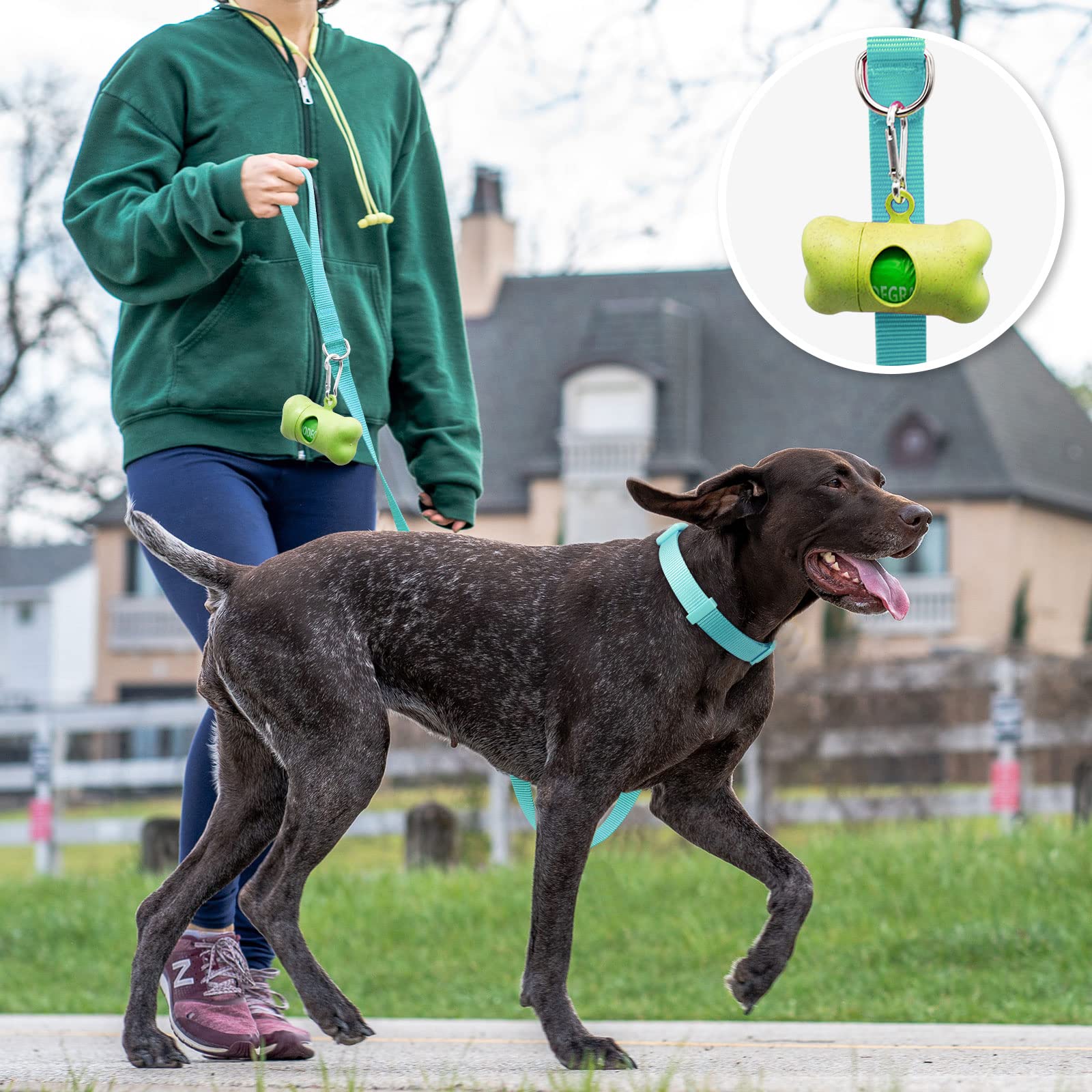 Azuza Nylon Dog Collar And Leash Set, Strong & Durable Basic Style Leash With Easy To Use Collar Hook, Available In Multiple Lengths For Large Dogs, Green,L