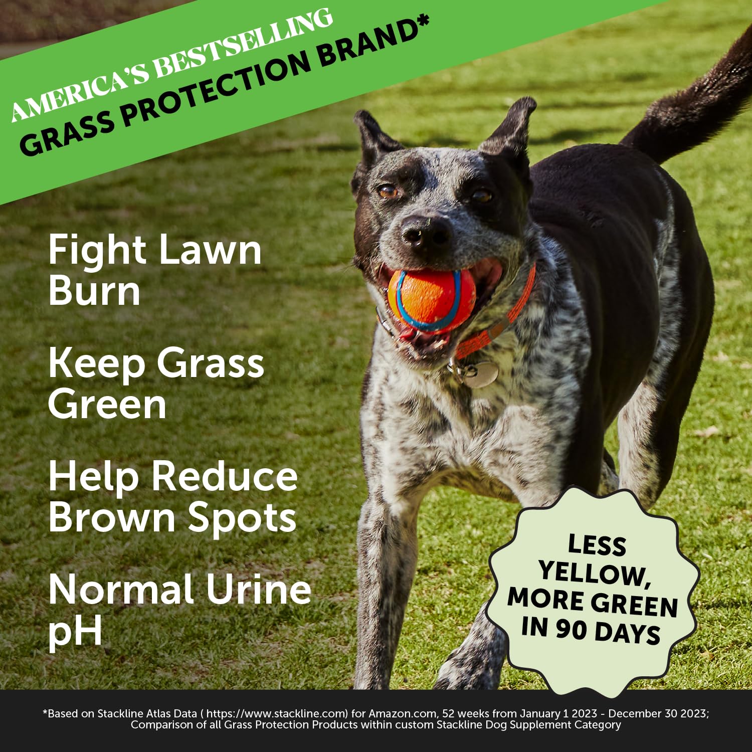 Pet Honesty Grass Green - Pee Grass Spot Saver Caused by Dog Urine, Gut Health Probiotics, Dog Urine Neutralizer for Lawn, Grass
