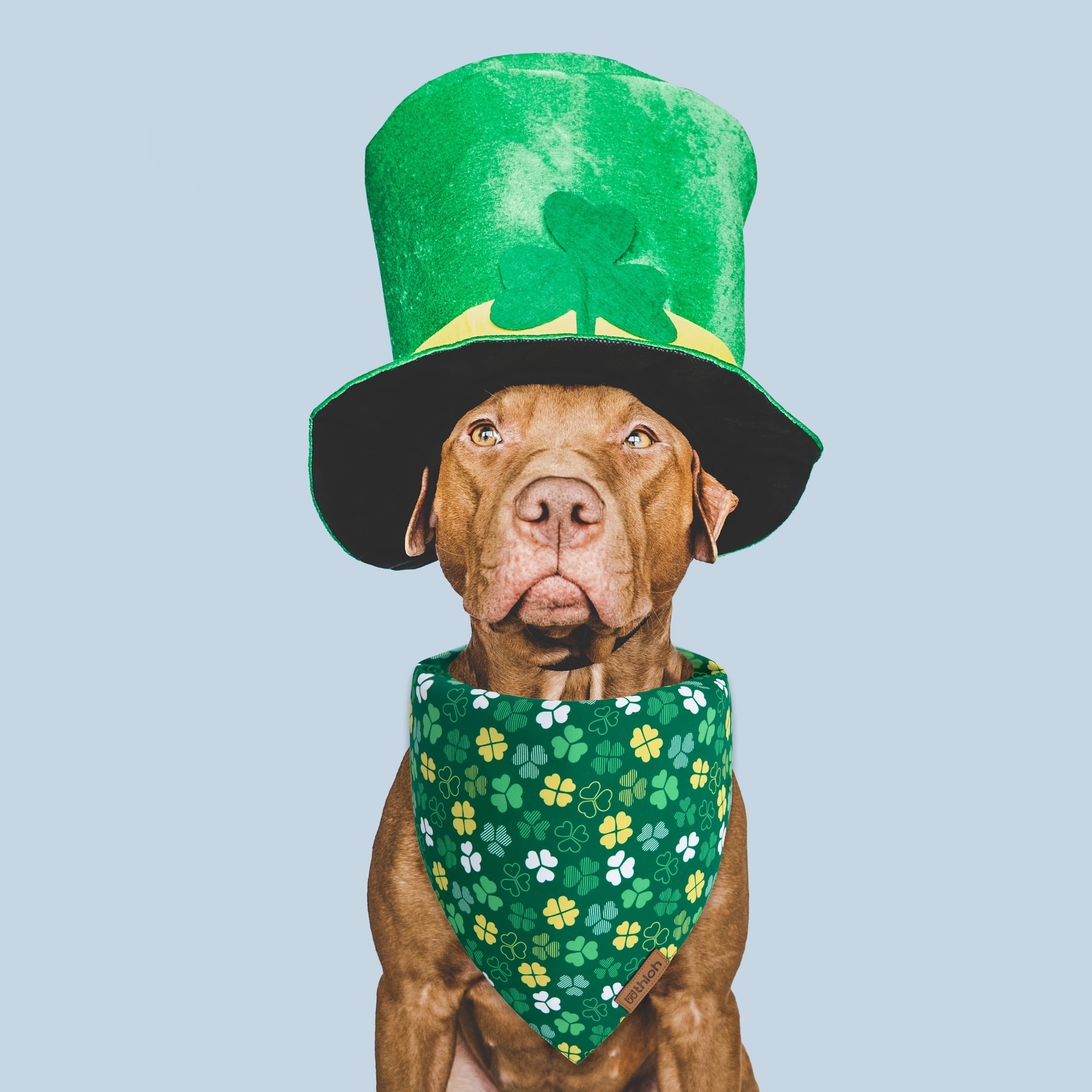 Thloh St. Patrick'S Day Dog Bandana - 2 Pack Triangle Shamrock Dog Bandanas For Boys & Girls, Reversible Leprechaun Pet Scarf, P