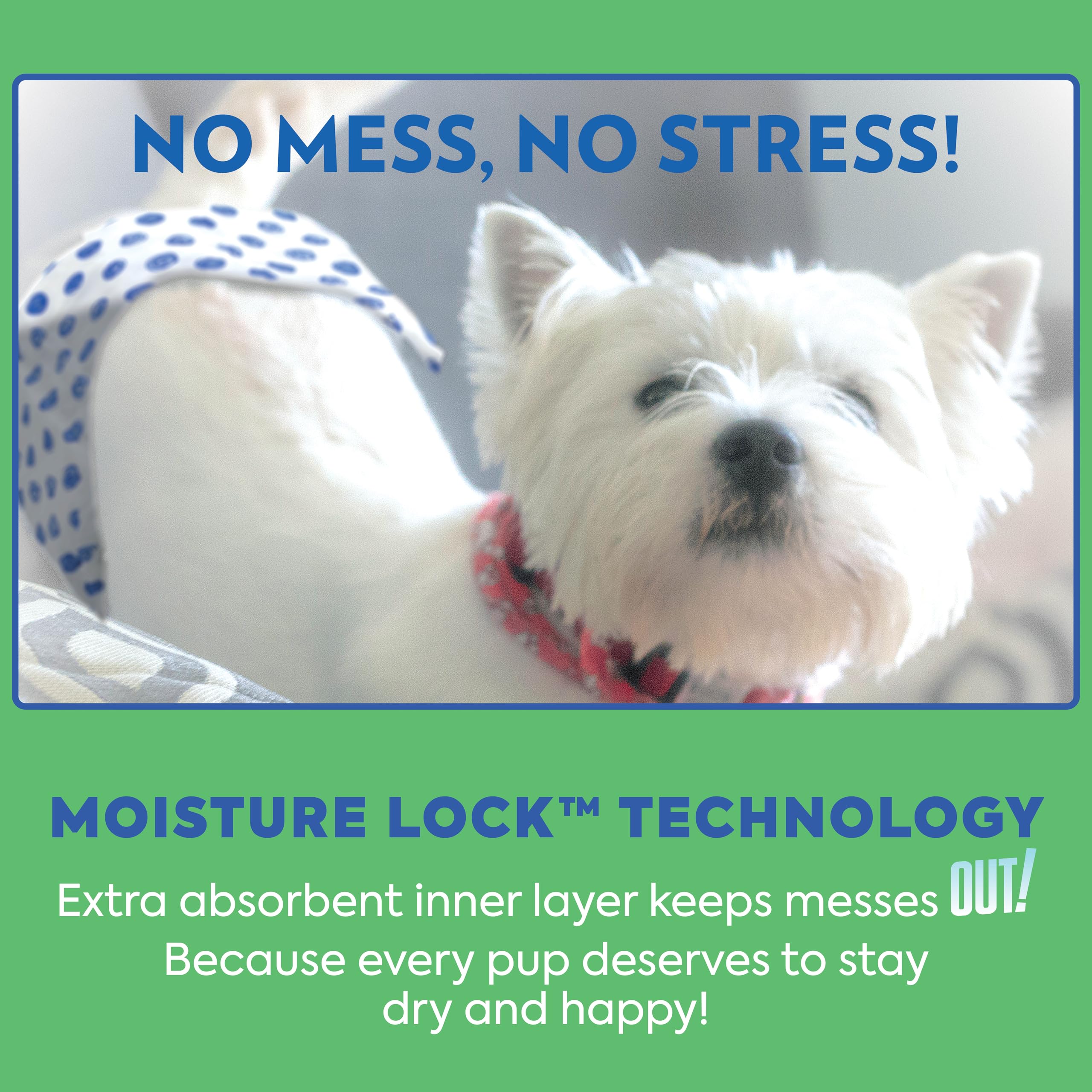 OUT! PetCare Disposable Male Dog Wraps, Safe, Male Wraps for Dogs, Pee Wraps Belly Bands for Male Dogs, Leak Proof, Wetness Indi
