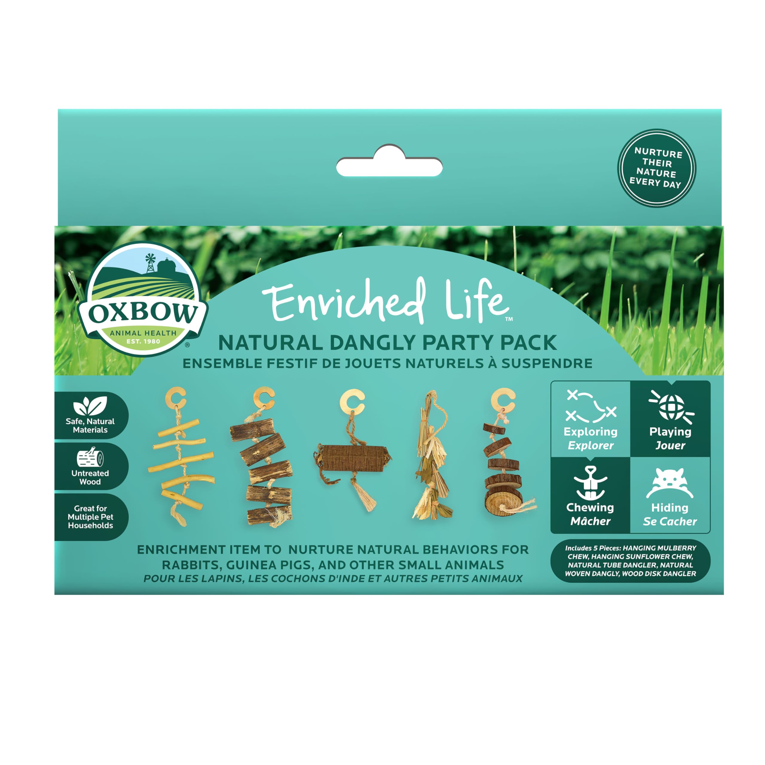 Oxbow Enriched Life Natural Dangly Party Pack, Rabbit Toys, Guinea Pig Toys, Enrichment for Bunny, Guinea Pig, Hamster Stuff, Ra