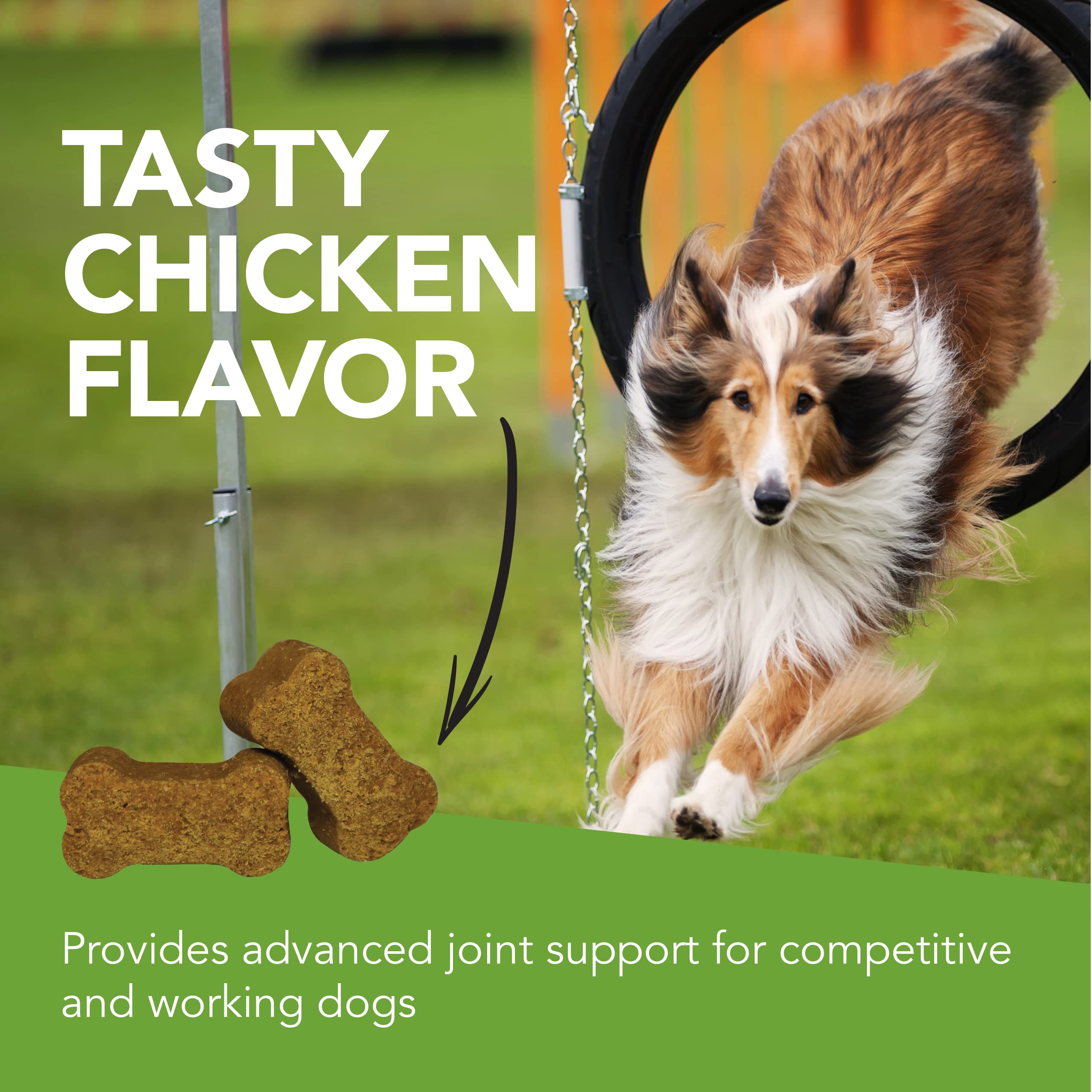 VetriScience GlycoFlex Sport Hip and Joint Supplement for Dogs - Joint Support Chews with Green-Lipped Mussel, DMG, and Glucosam