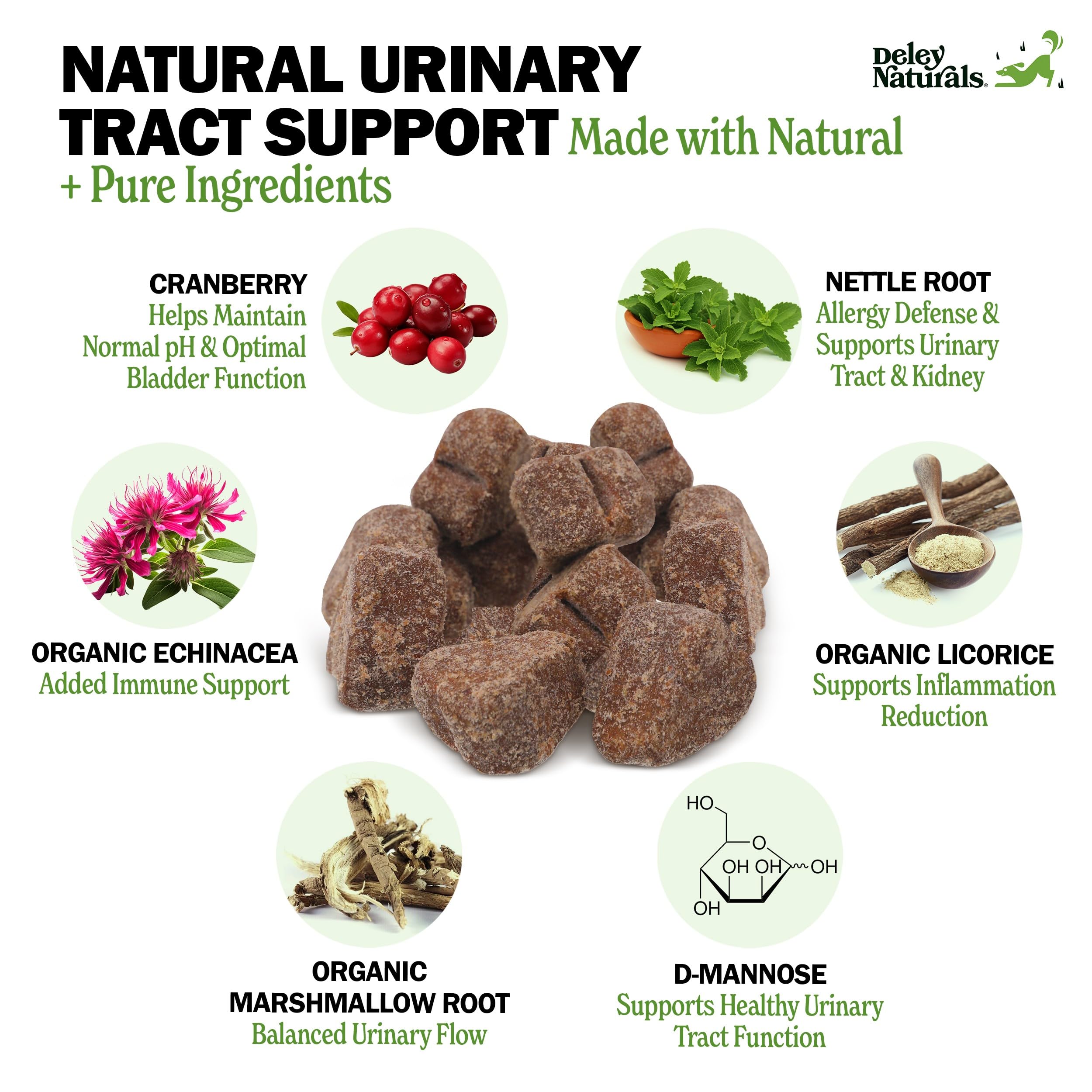 Deley Naturals Dog UTI Chews - Vet-Grade Cranberry Supplement for Dogs with D-Mannose & Echinacea for Bladder & Urinary Tract He