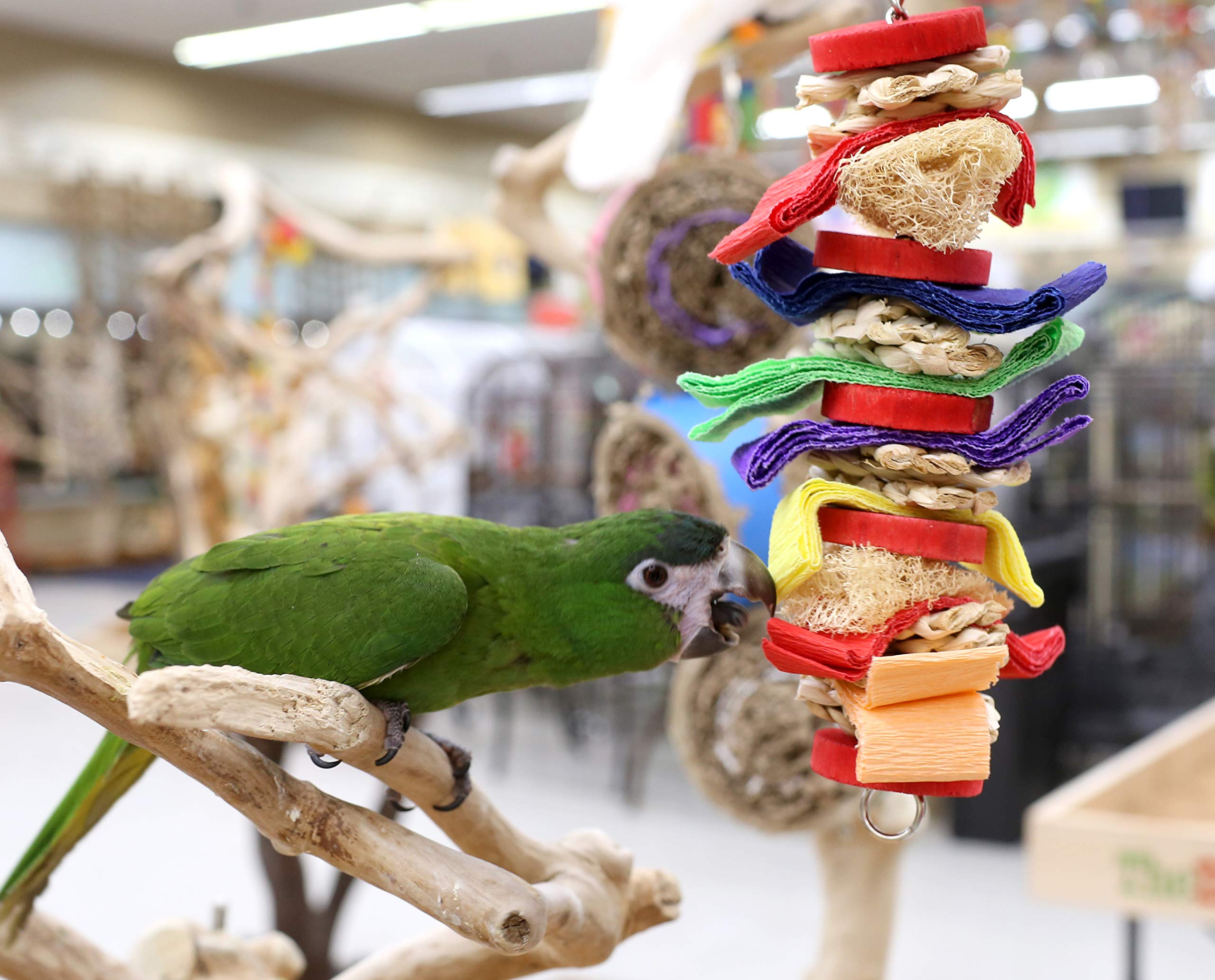 Parrot Wizard Loofah Drizzle Shreddable Toy (Choose A Size) (Large)
