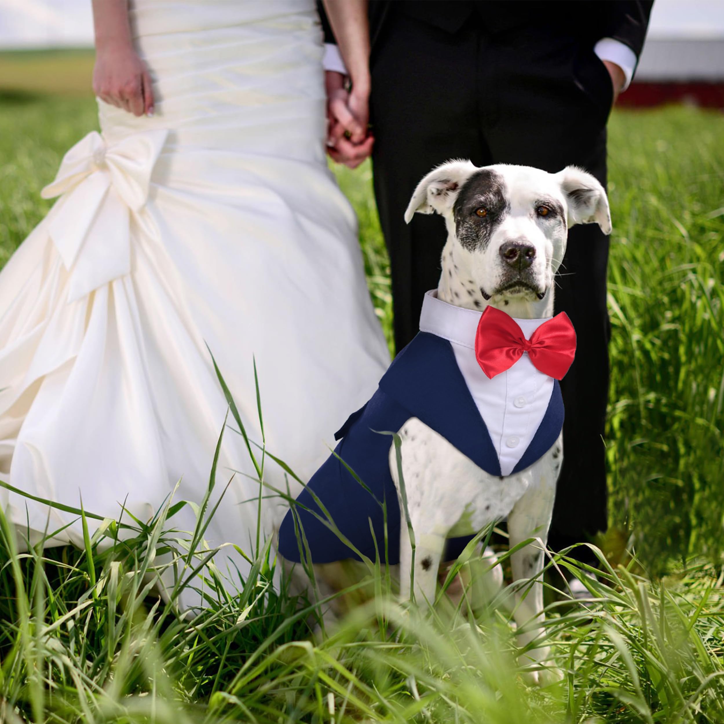 Pumyporeity Medium Dog Bowtie Tuxedo Suit, Cat Tuxedo, Dog Wedding Outfit - 2 Pieces/Pack, M, Blue