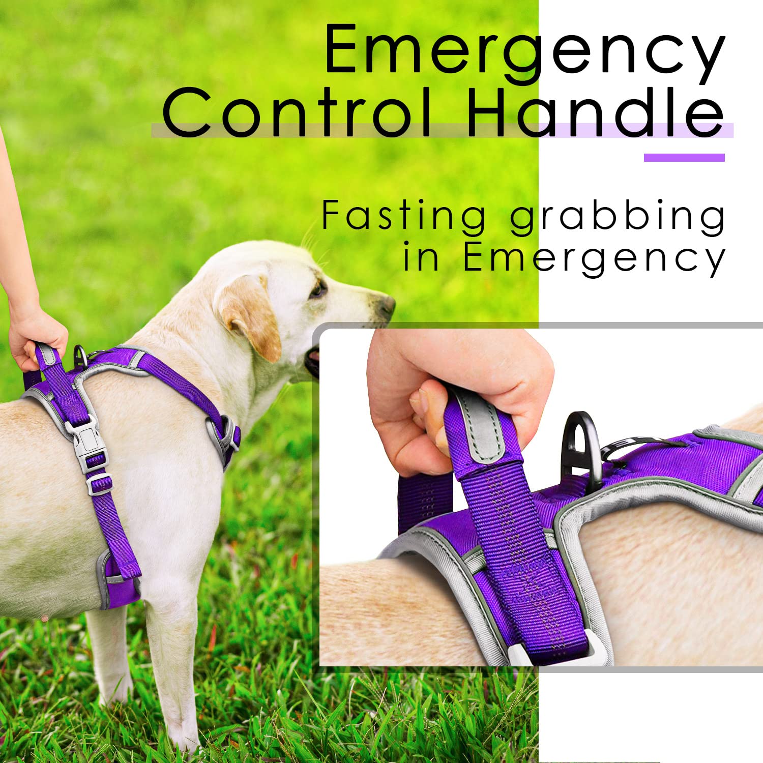Thinkpet No Pull Harness Breathable Sport Harness With Handle-Dog Harnesses Reflective Adjustable For Medium Large Dogs,Back/Front Clip For Easy Control L Neon Purple